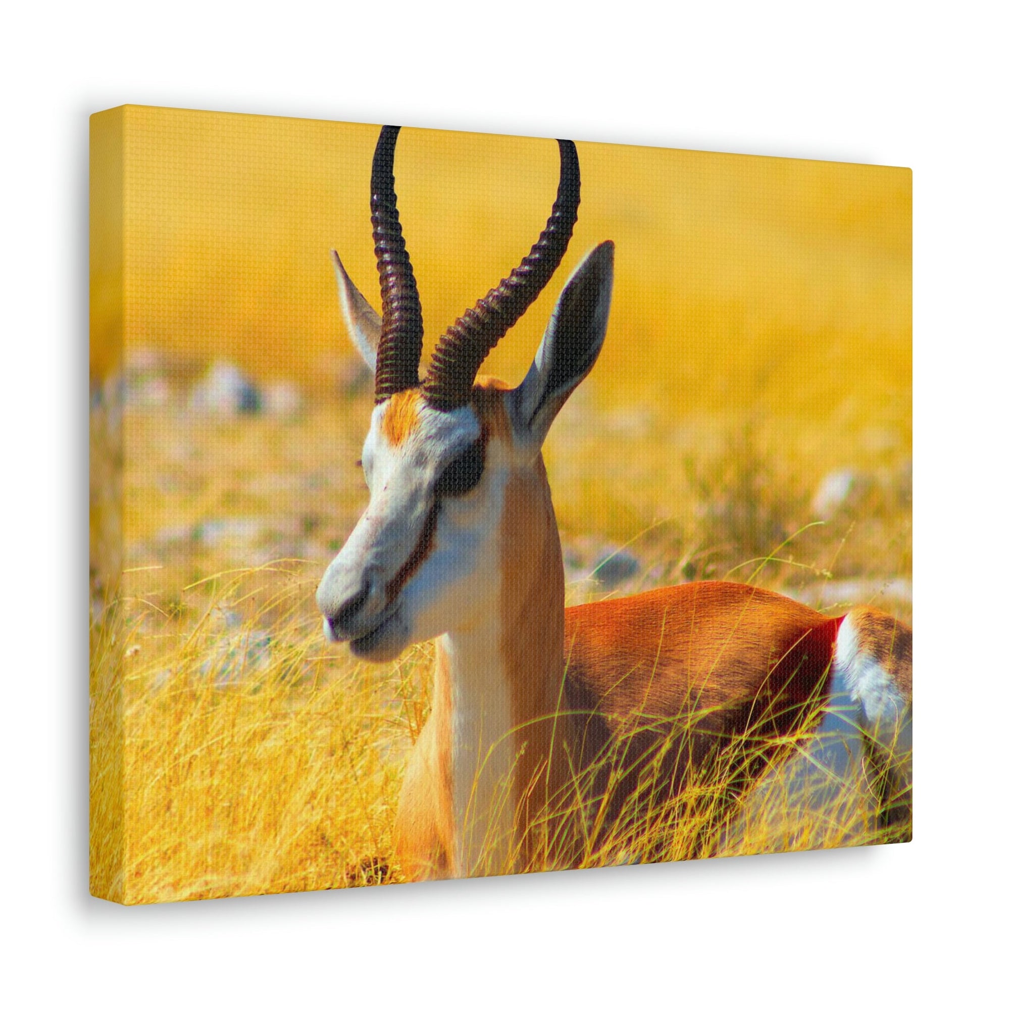 Antelope In Tall Yellow Grass Antelope Wild African Outside Wall Art Ready To Hang Unframed-Express Your Love Gifts