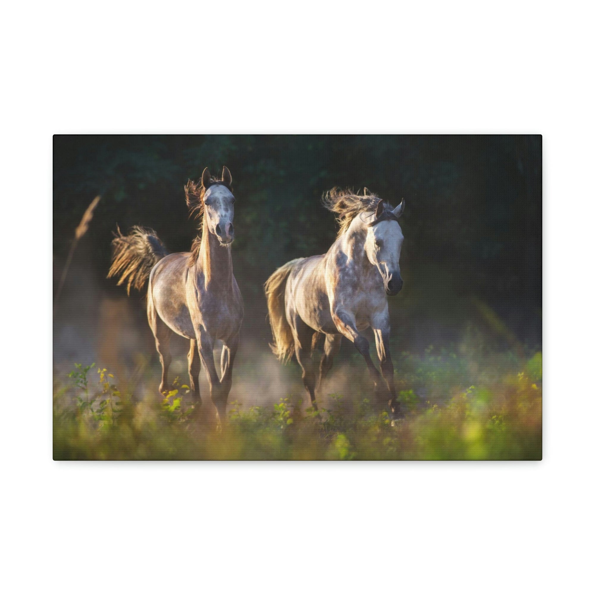 Scripture Walls Arab Horse Couple Arab Horse Troop Print Animal Wall Art Wildlife Canvas Prints Wall Art Ready to Hang Unframed-Express Your Love Gifts