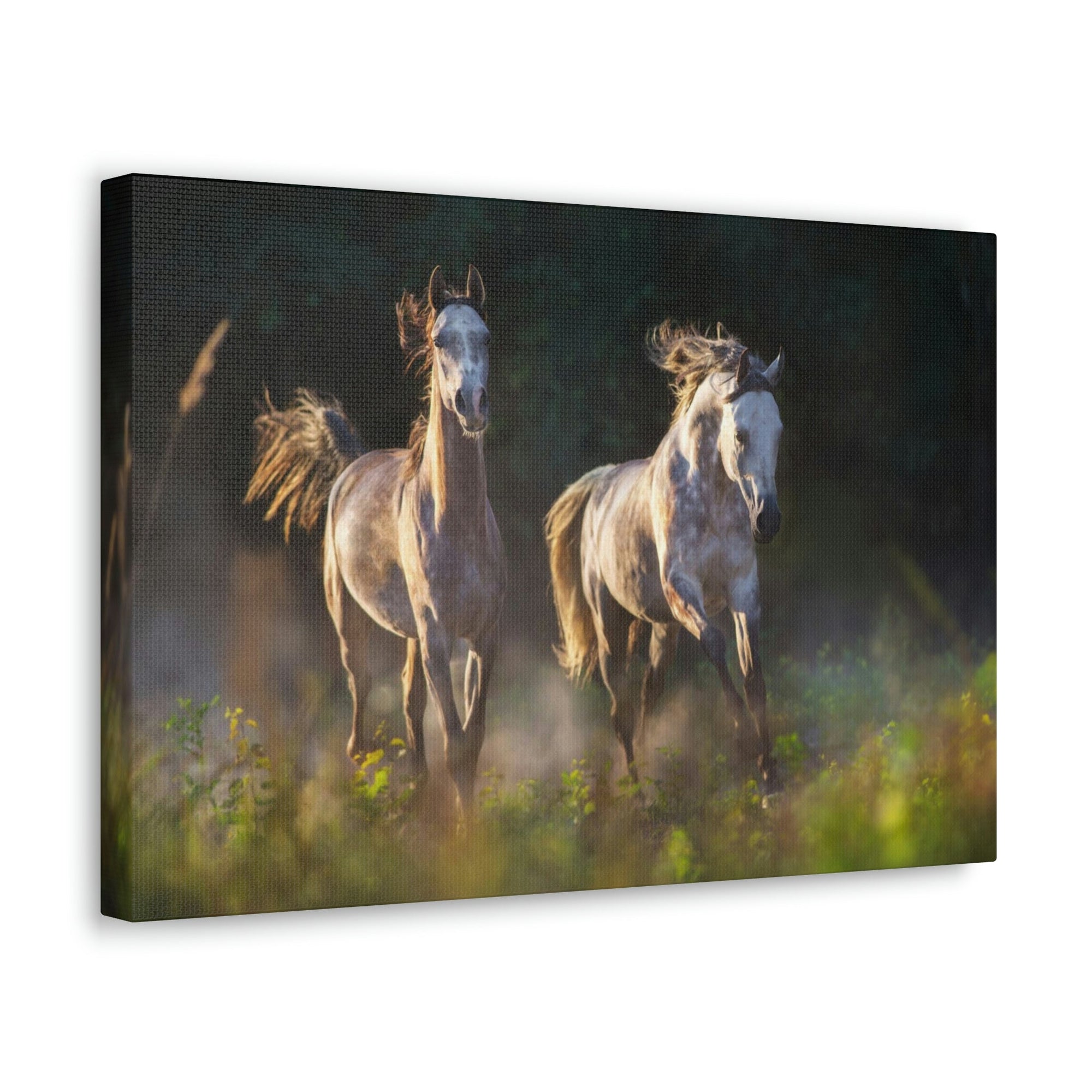 Scripture Walls Arab Horse Couple Arab Horse Troop Print Animal Wall Art Wildlife Canvas Prints Wall Art Ready to Hang Unframed-Express Your Love Gifts