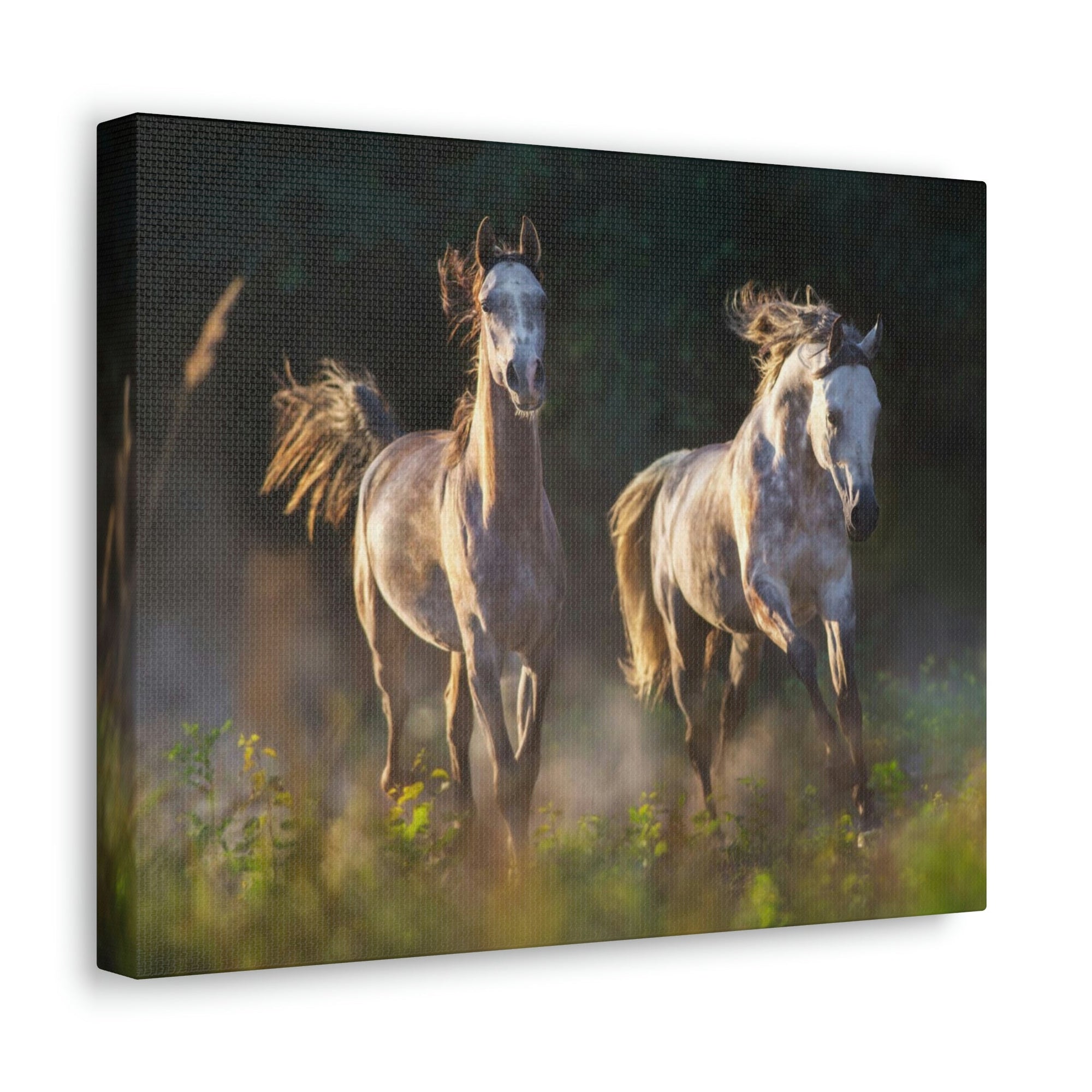 Scripture Walls Arab Horse Couple Arab Horse Troop Print Animal Wall Art Wildlife Canvas Prints Wall Art Ready to Hang Unframed-Express Your Love Gifts