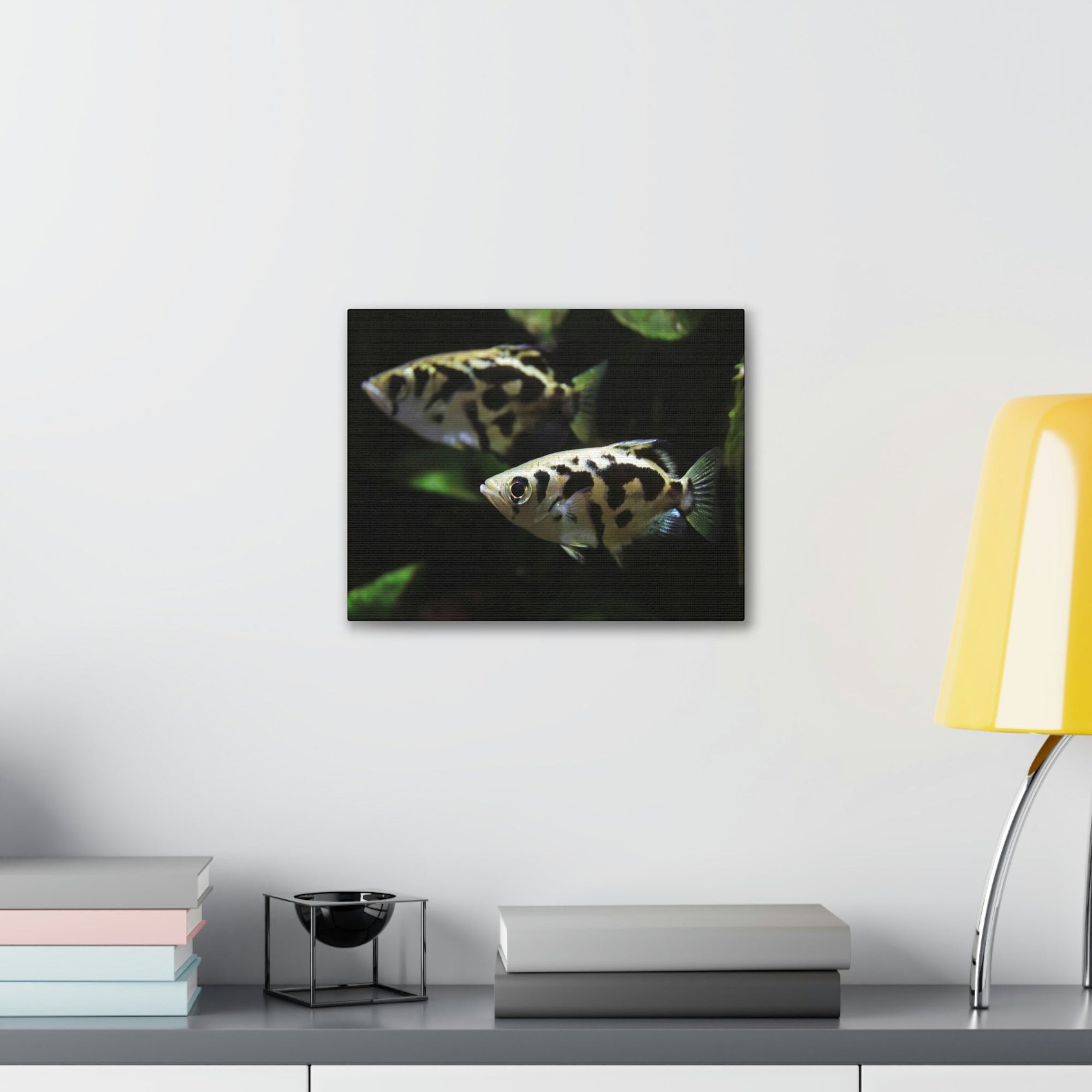 Scripture Walls Archer Fish Couple Archer Fish Troop Print Animal Wall Art Wildlife Canvas Prints Wall Art Ready to Hang Unframed-Express Your Love Gifts