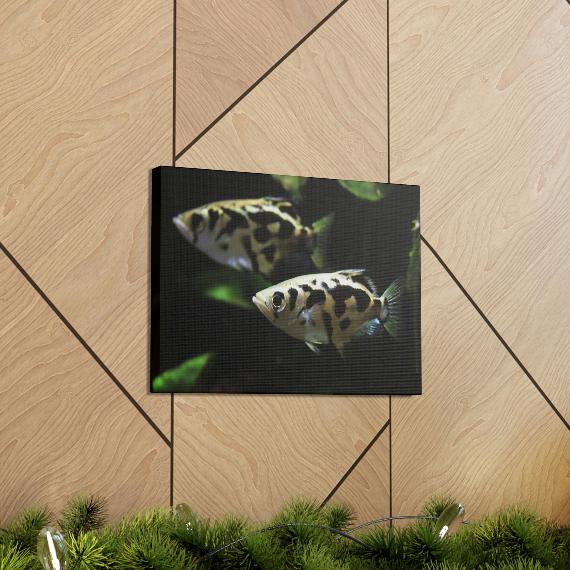 Scripture Walls Archer Fish Couple Archer Fish Troop Print Animal Wall Art Wildlife Canvas Prints Wall Art Ready to Hang Unframed-Express Your Love Gifts