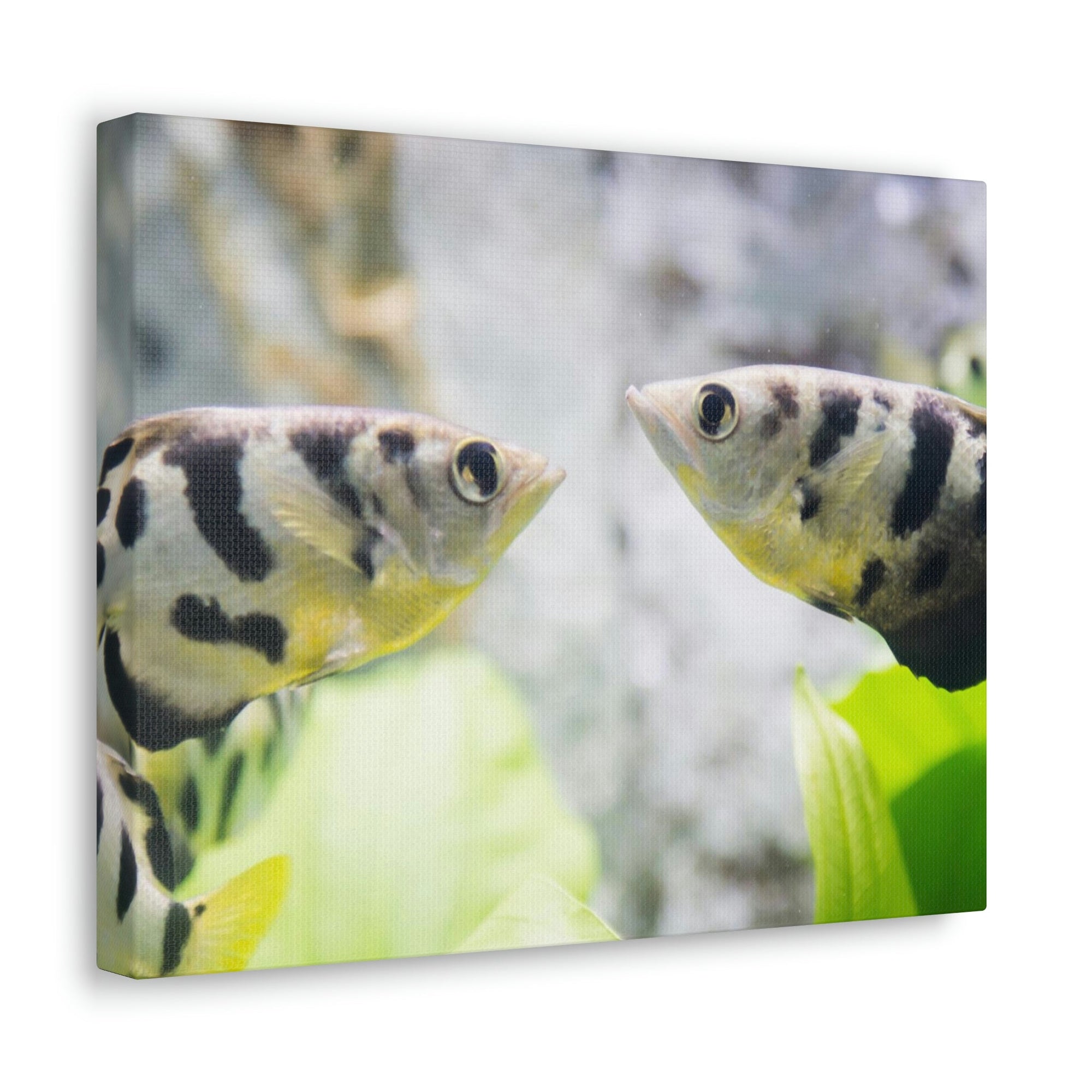 Scripture Walls Archer Fish Wildlife Animal Archer Fish Under Water Wall Art Ready To Hang Unframed-Express Your Love Gifts