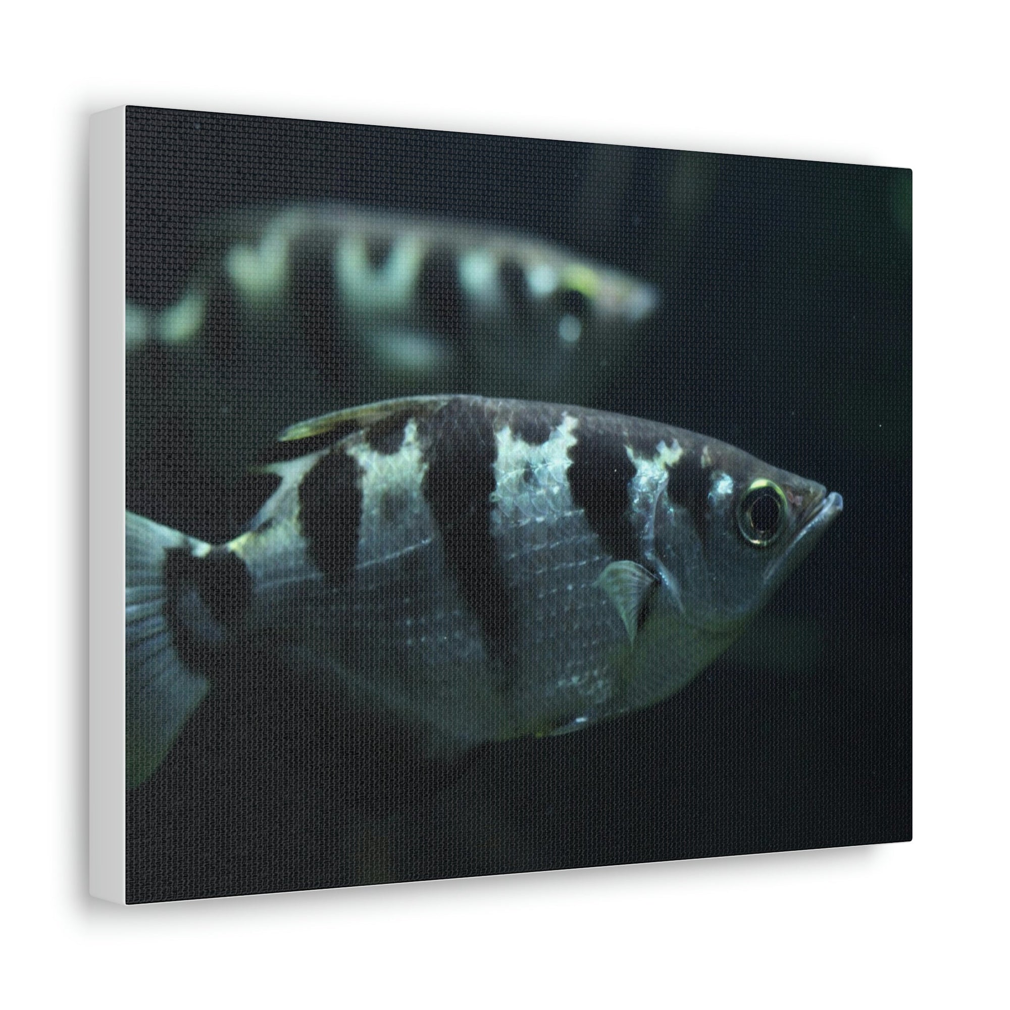 Archer Fish Wildlife Archer Fish Under The Sea Wall Art Ready To Hang Unframed-Express Your Love Gifts