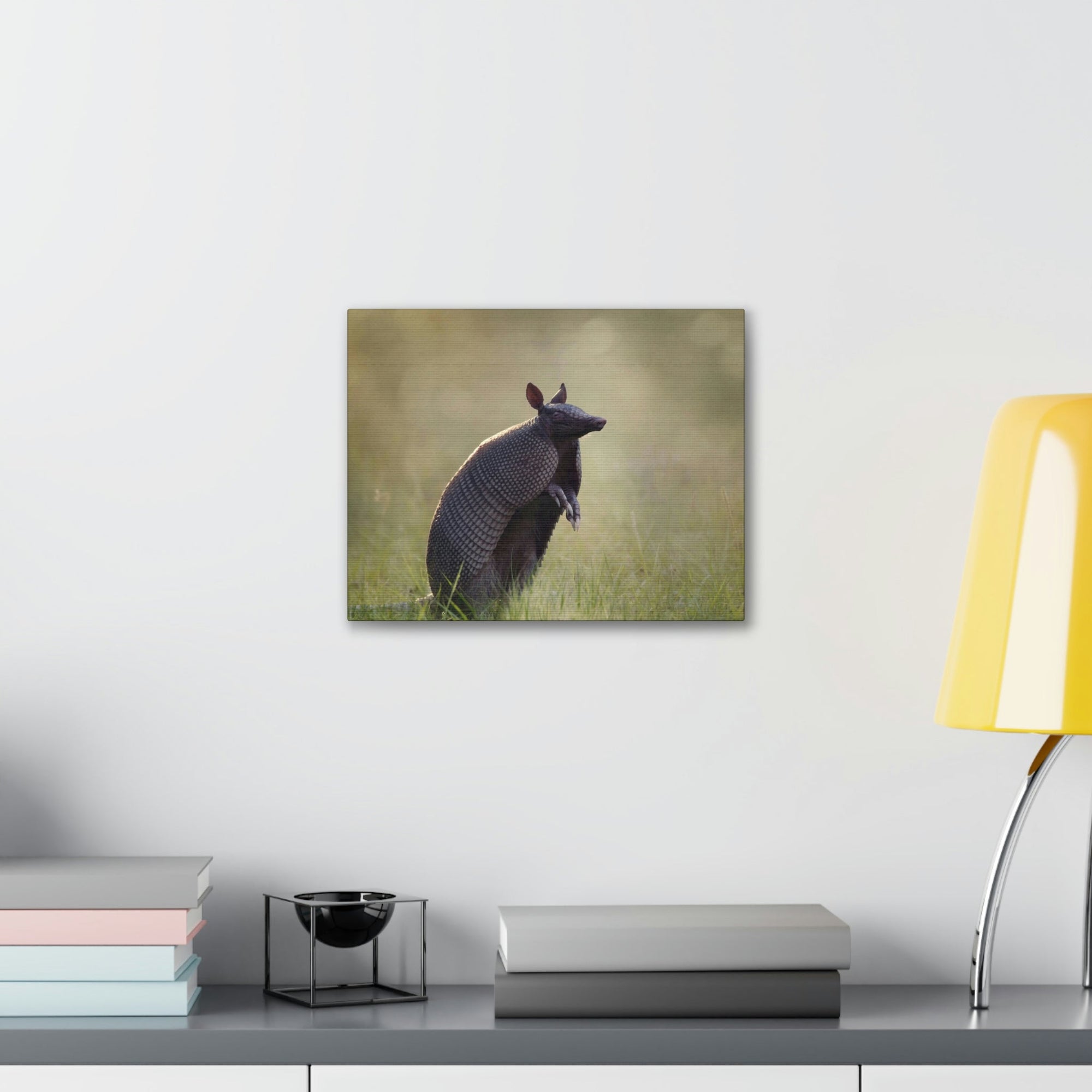 Armadillo At Sunset Armadillo Mammals wall Art Ready To Hang Unframed-Express Your Love Gifts