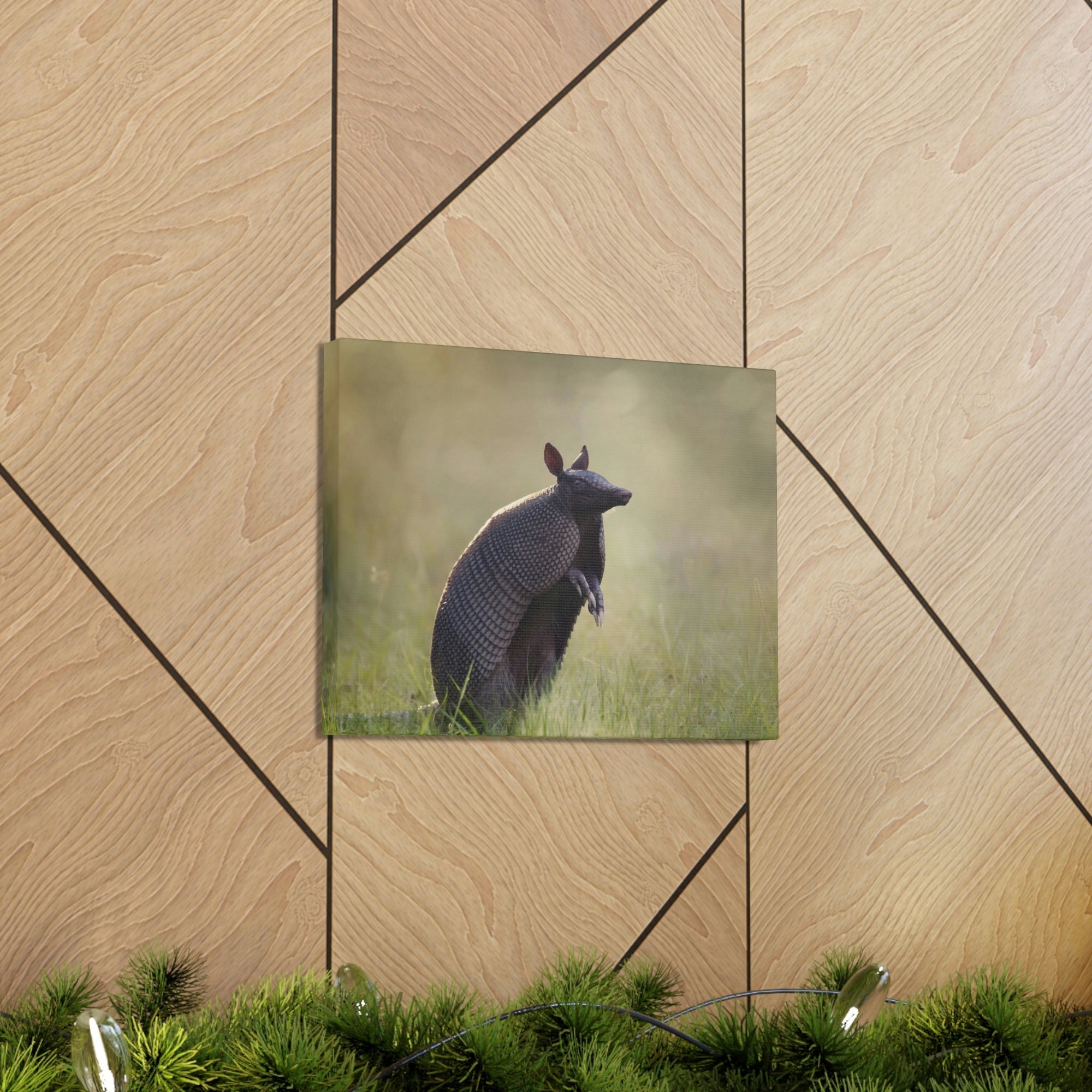 Armadillo At Sunset Armadillo Mammals wall Art Ready To Hang Unframed-Express Your Love Gifts