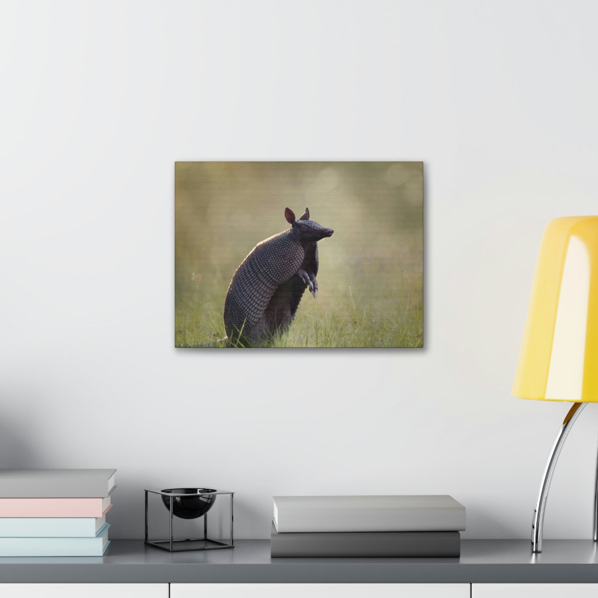 Armadillo At Sunset Armadillo Mammals wall Art Ready To Hang Unframed-Express Your Love Gifts