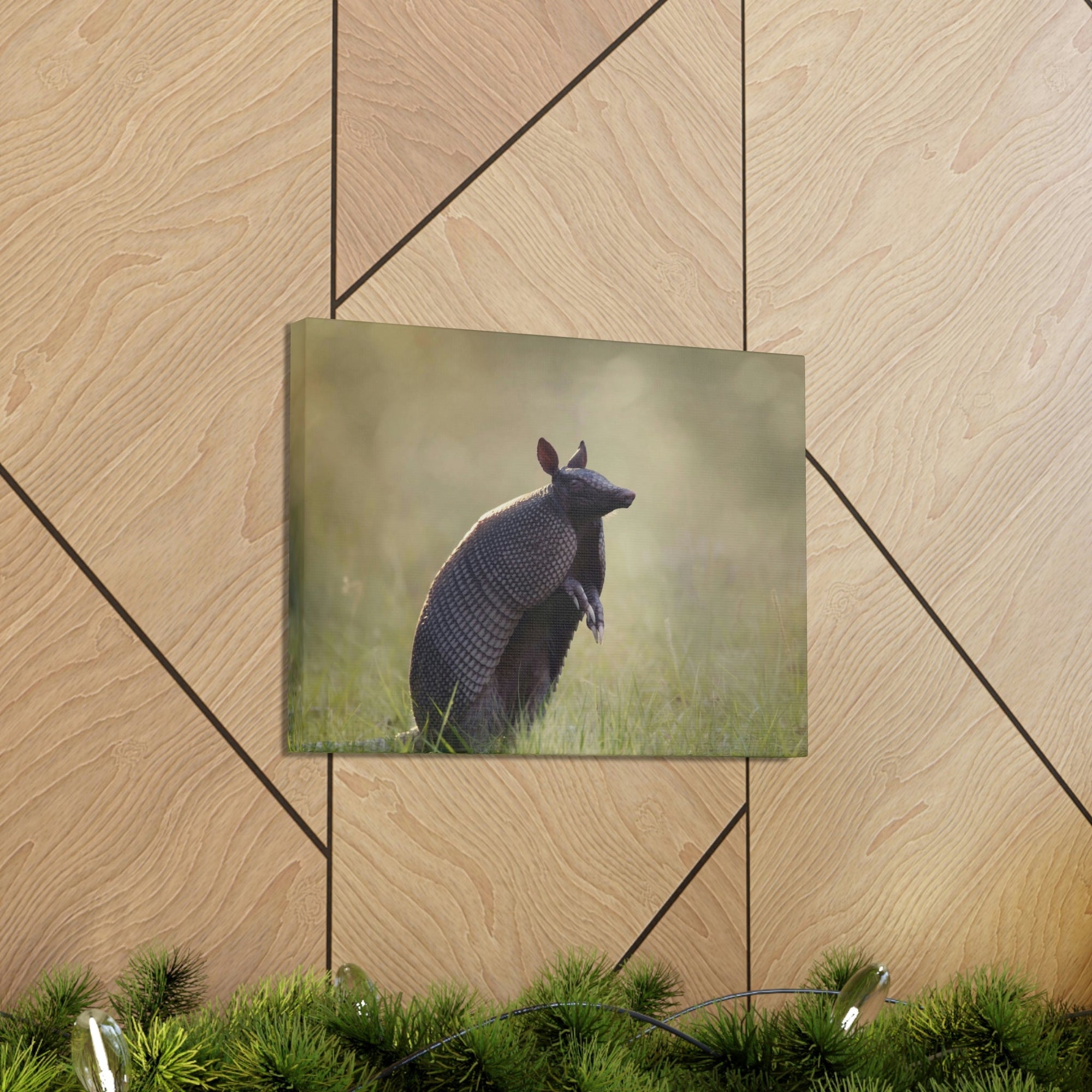 Armadillo At Sunset Armadillo Mammals wall Art Ready To Hang Unframed-Express Your Love Gifts