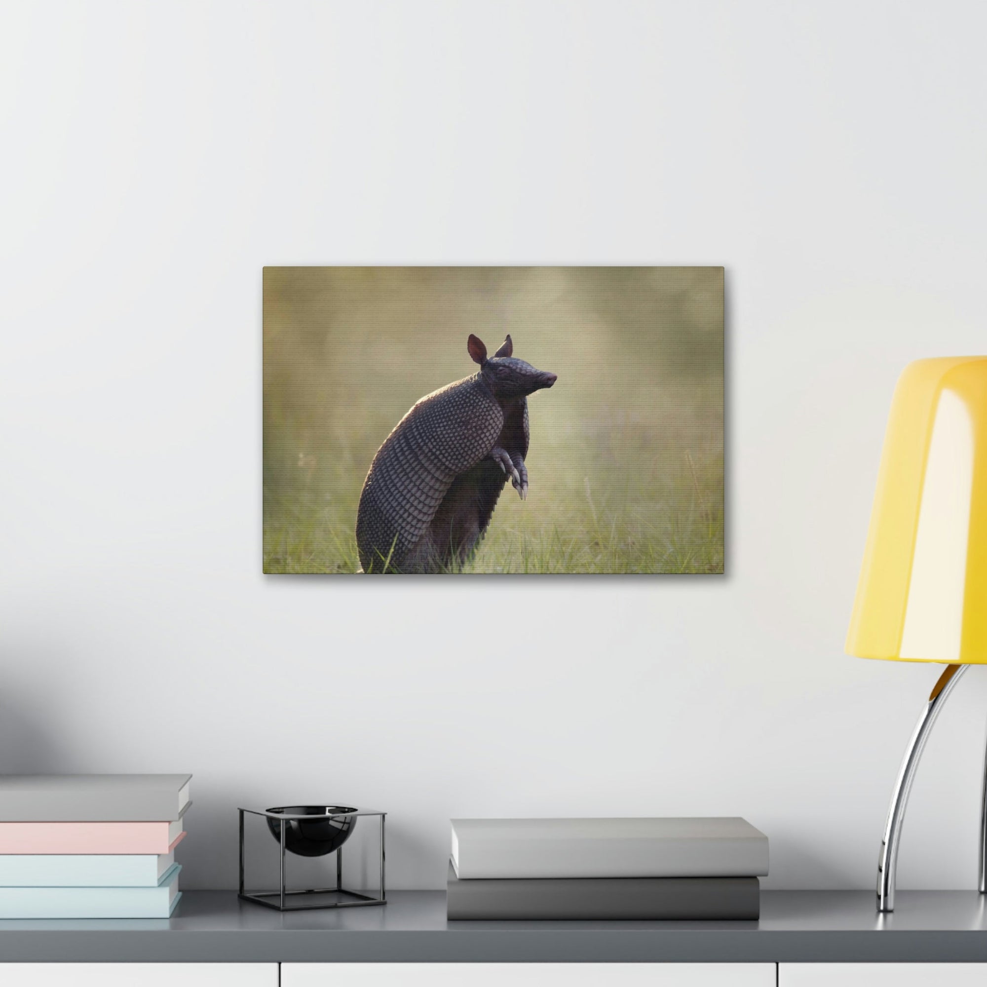 Armadillo At Sunset Armadillo Mammals wall Art Ready To Hang Unframed-Express Your Love Gifts