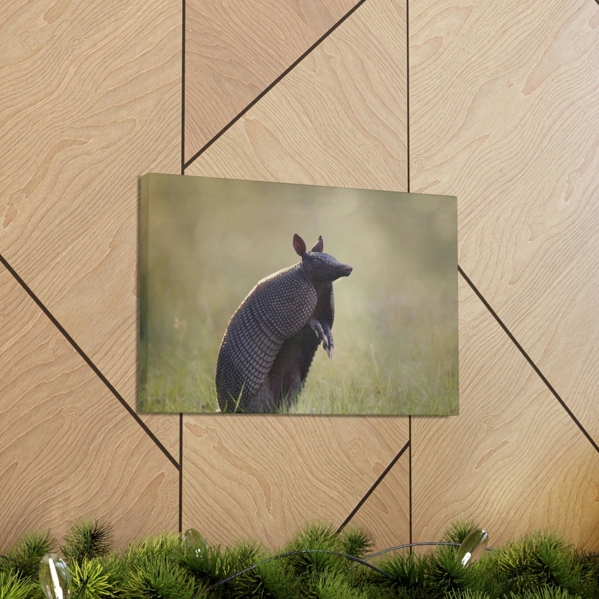 Armadillo At Sunset Armadillo Mammals wall Art Ready To Hang Unframed-Express Your Love Gifts