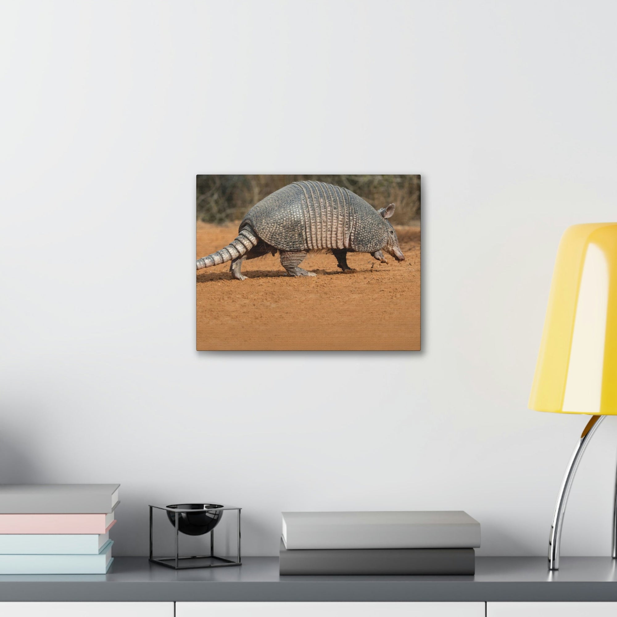 Armadillo Drinking Armadillo In Desert Wall Art Ready To Hang Unframed-Express Your Love Gifts