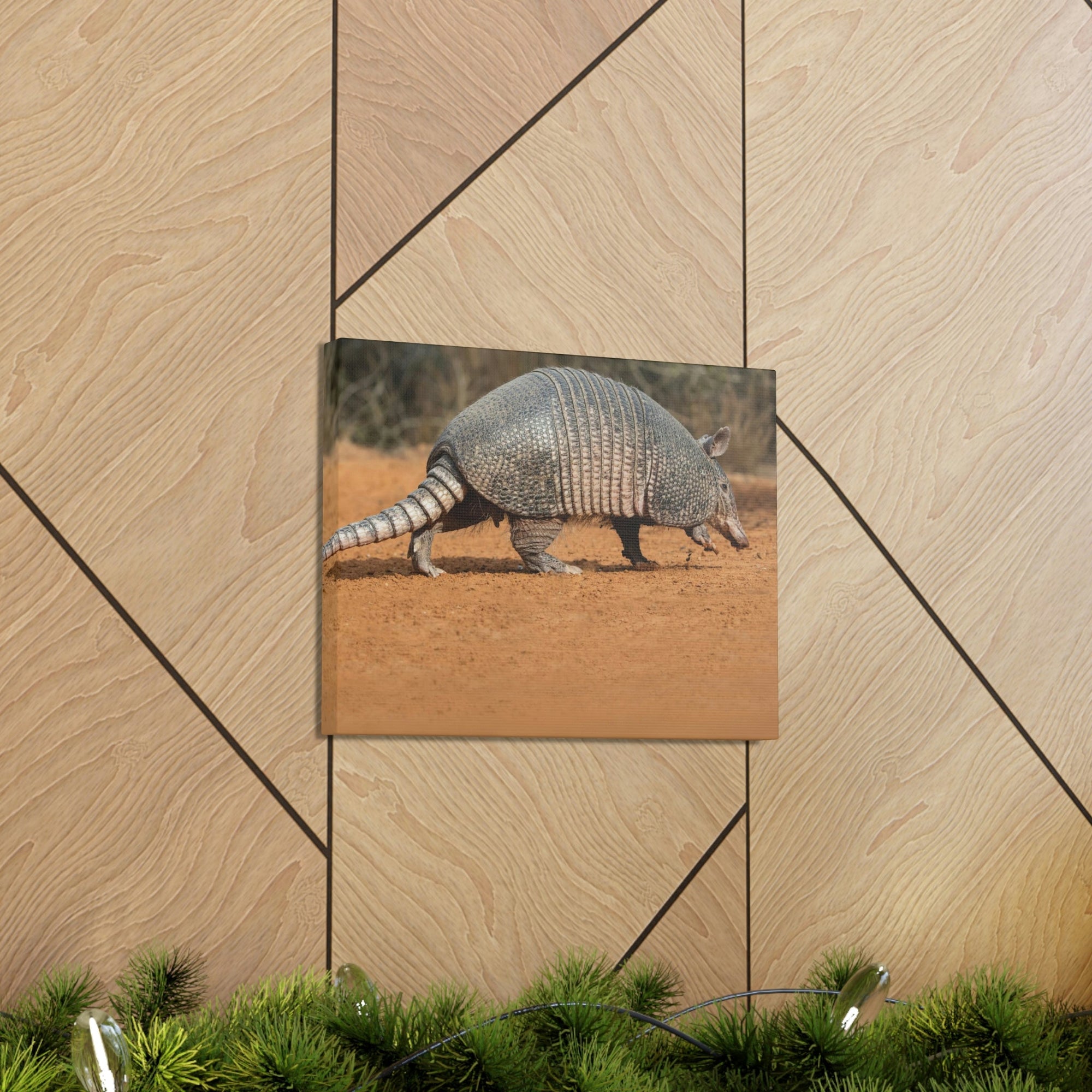 Armadillo Drinking Armadillo In Desert Wall Art Ready To Hang Unframed-Express Your Love Gifts