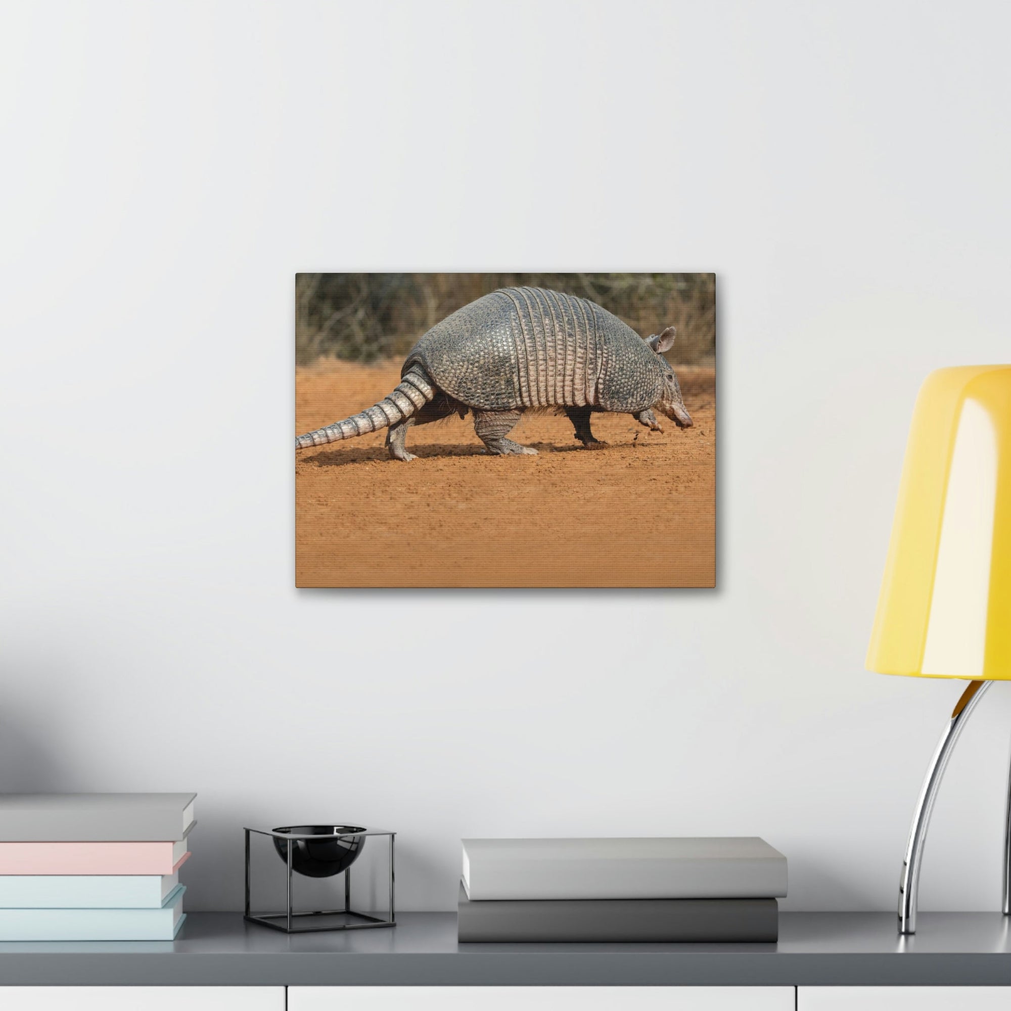 Armadillo Drinking Armadillo In Desert Wall Art Ready To Hang Unframed-Express Your Love Gifts