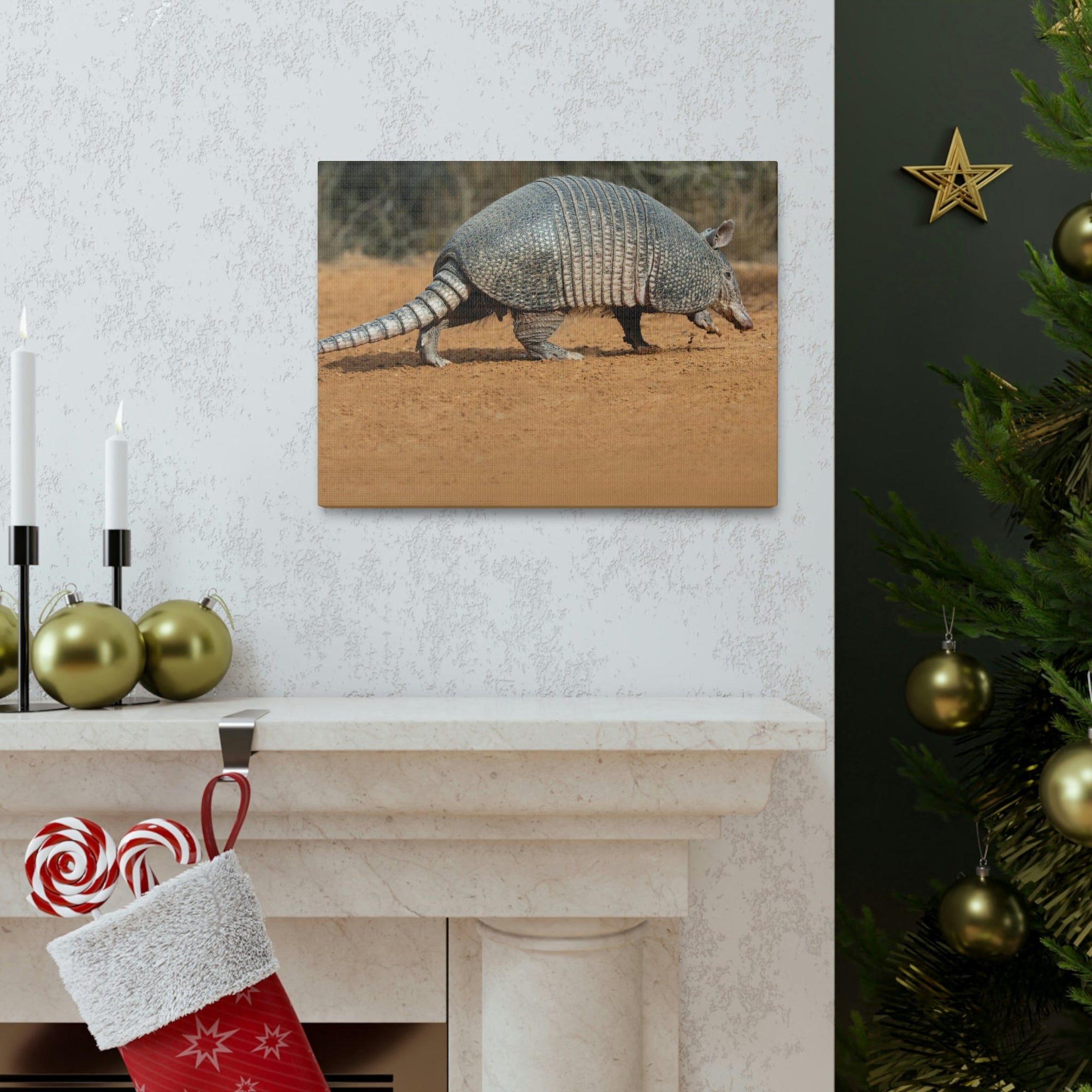 Armadillo Drinking Armadillo In Desert Wall Art Ready To Hang Unframed-Express Your Love Gifts