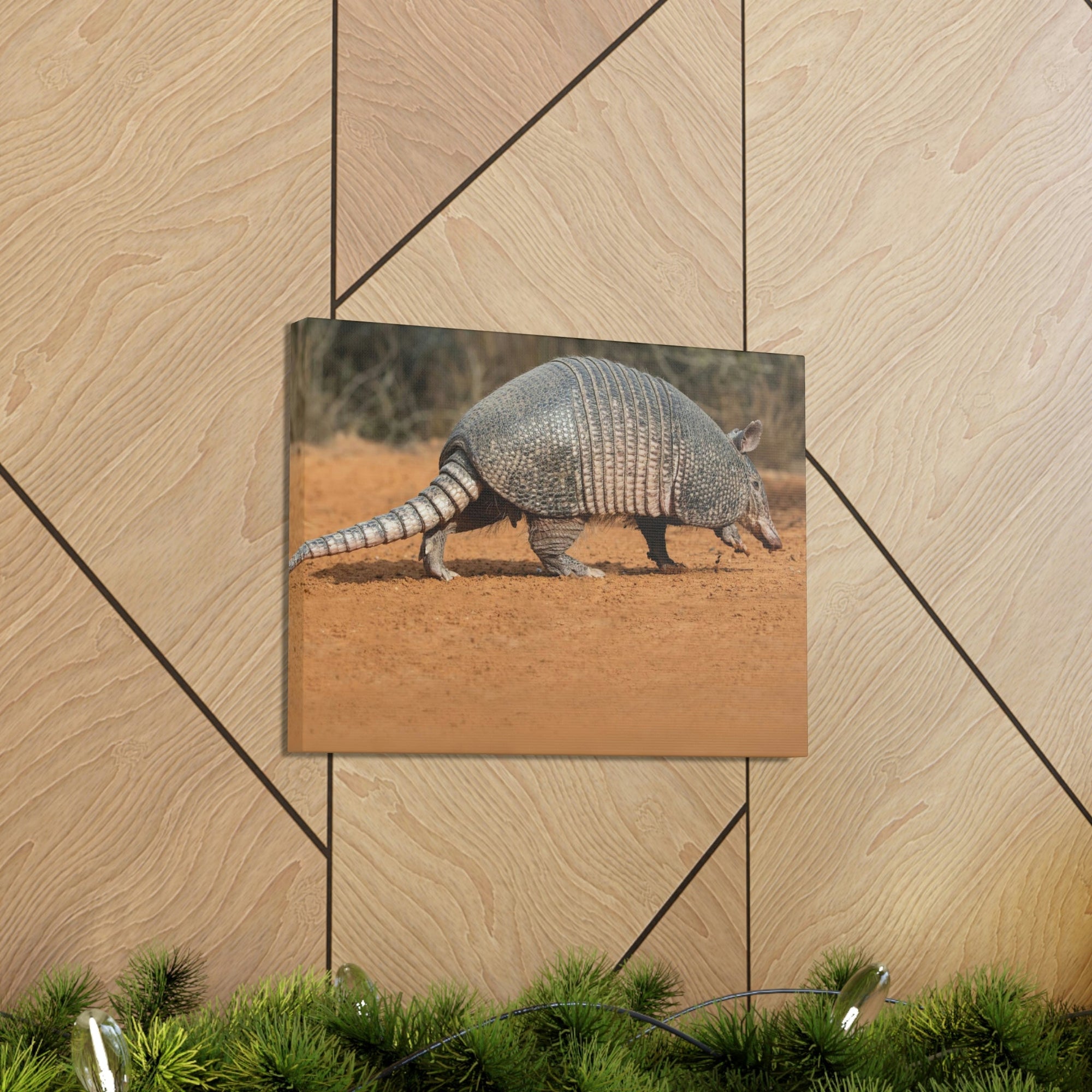 Armadillo Drinking Armadillo In Desert Wall Art Ready To Hang Unframed-Express Your Love Gifts