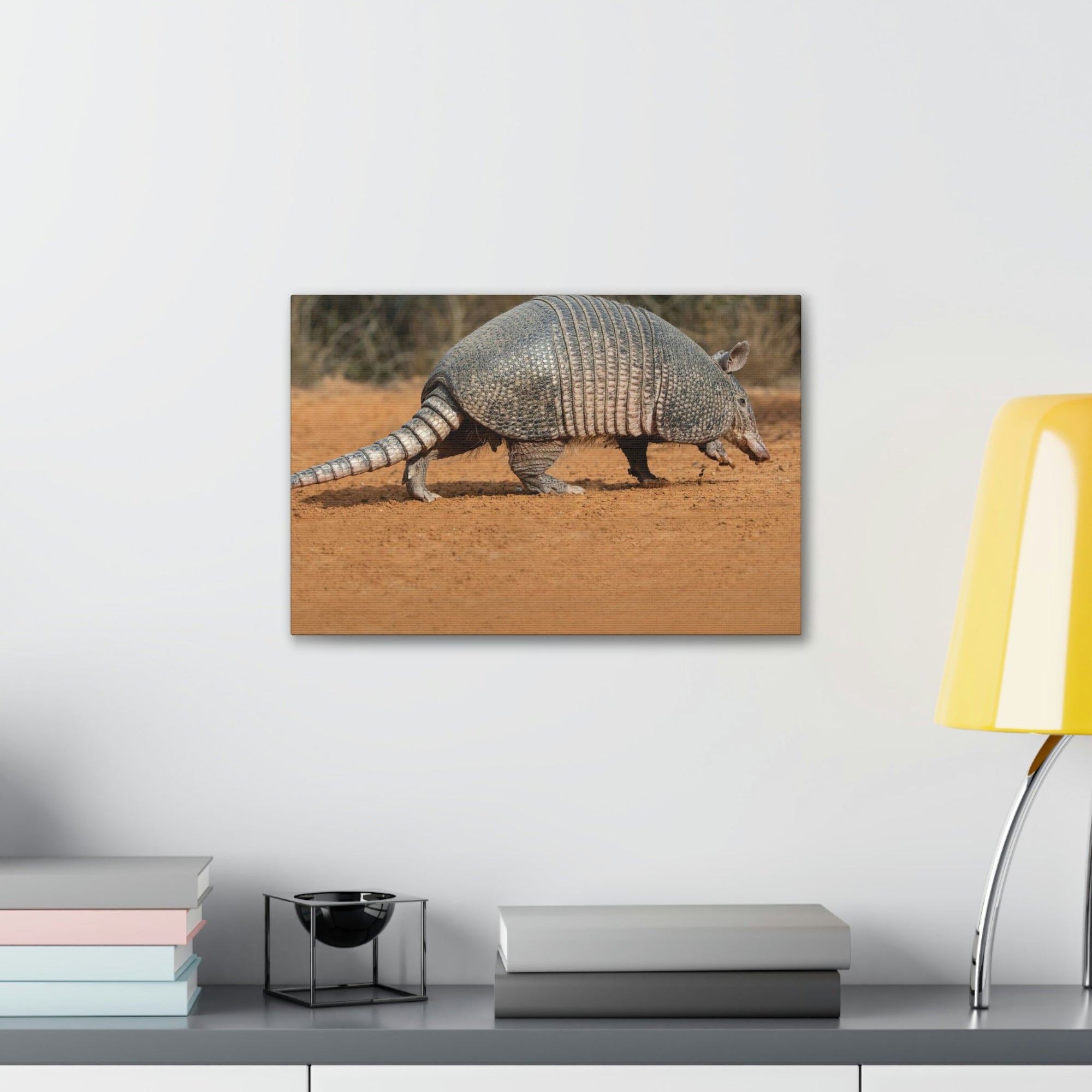 Armadillo Drinking Armadillo In Desert Wall Art Ready To Hang Unframed-Express Your Love Gifts