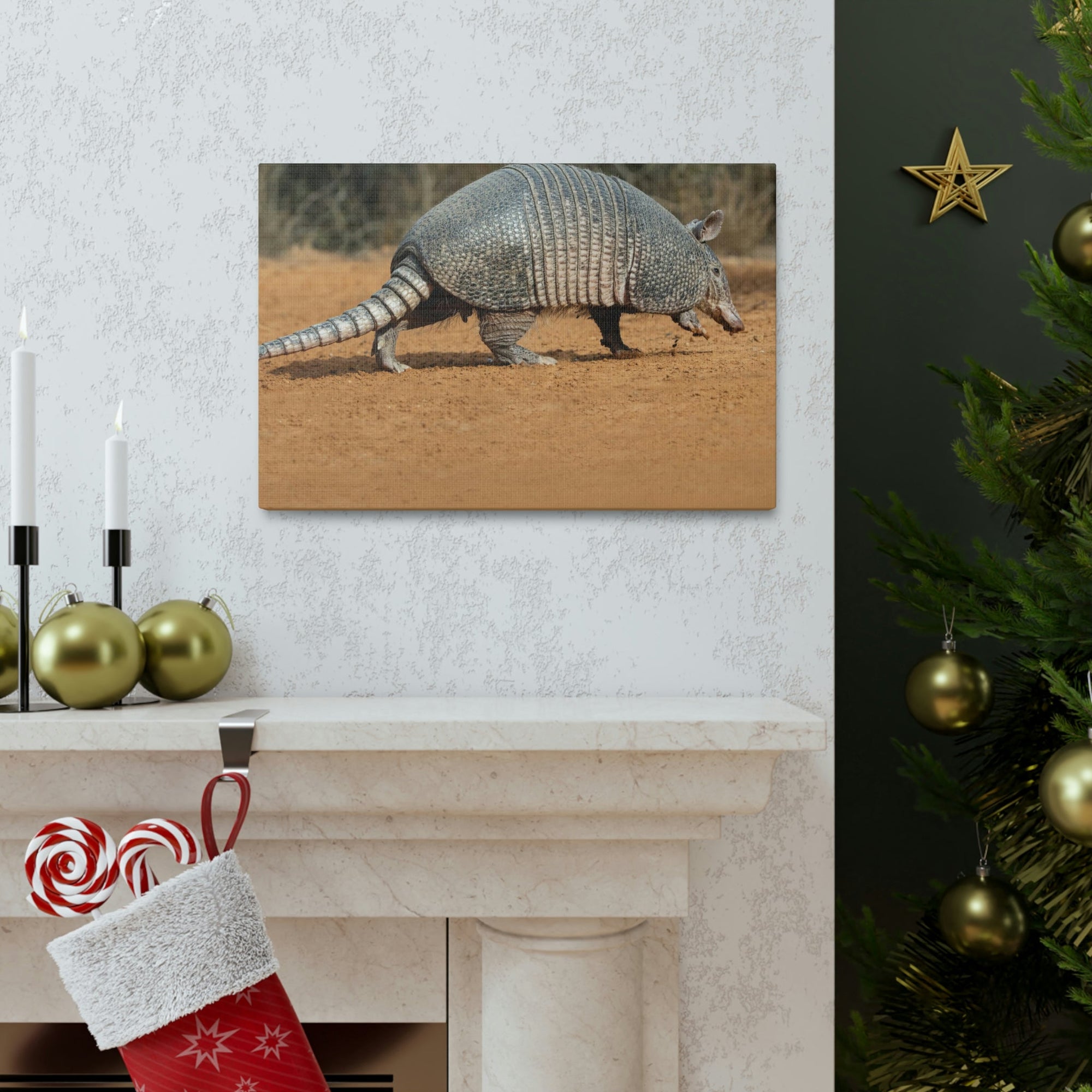 Armadillo Drinking Armadillo In Desert Wall Art Ready To Hang Unframed-Express Your Love Gifts