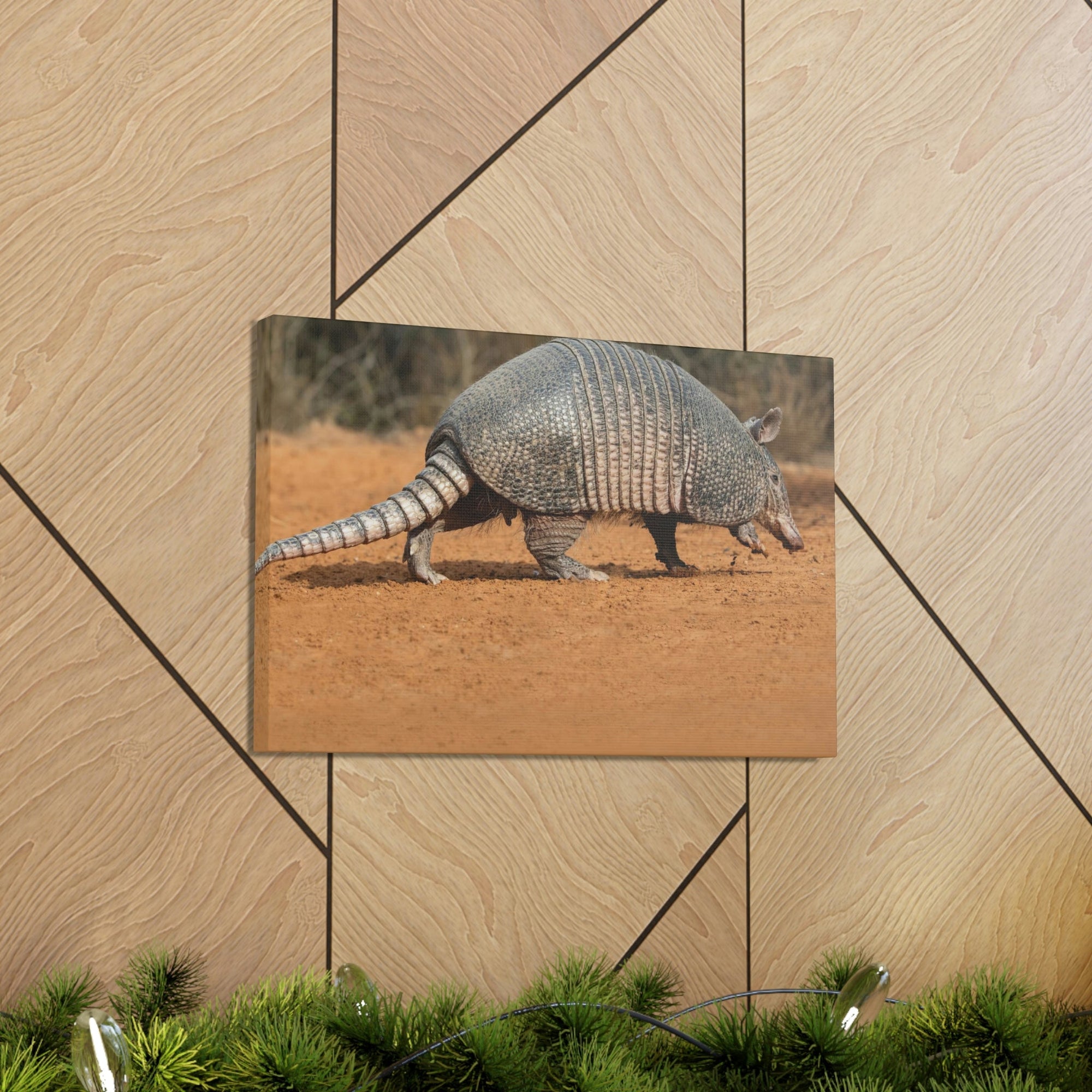 Armadillo Drinking Armadillo In Desert Wall Art Ready To Hang Unframed-Express Your Love Gifts