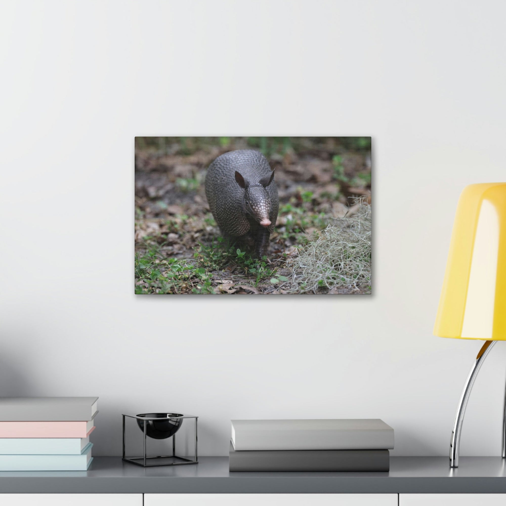 Scripture Walls Armadillo Hunting Armadillo on Hunt Print Animal Wall Art Wildlife Canvas Prints Wall Art Ready to Hang Unframed-Express Your Love Gifts