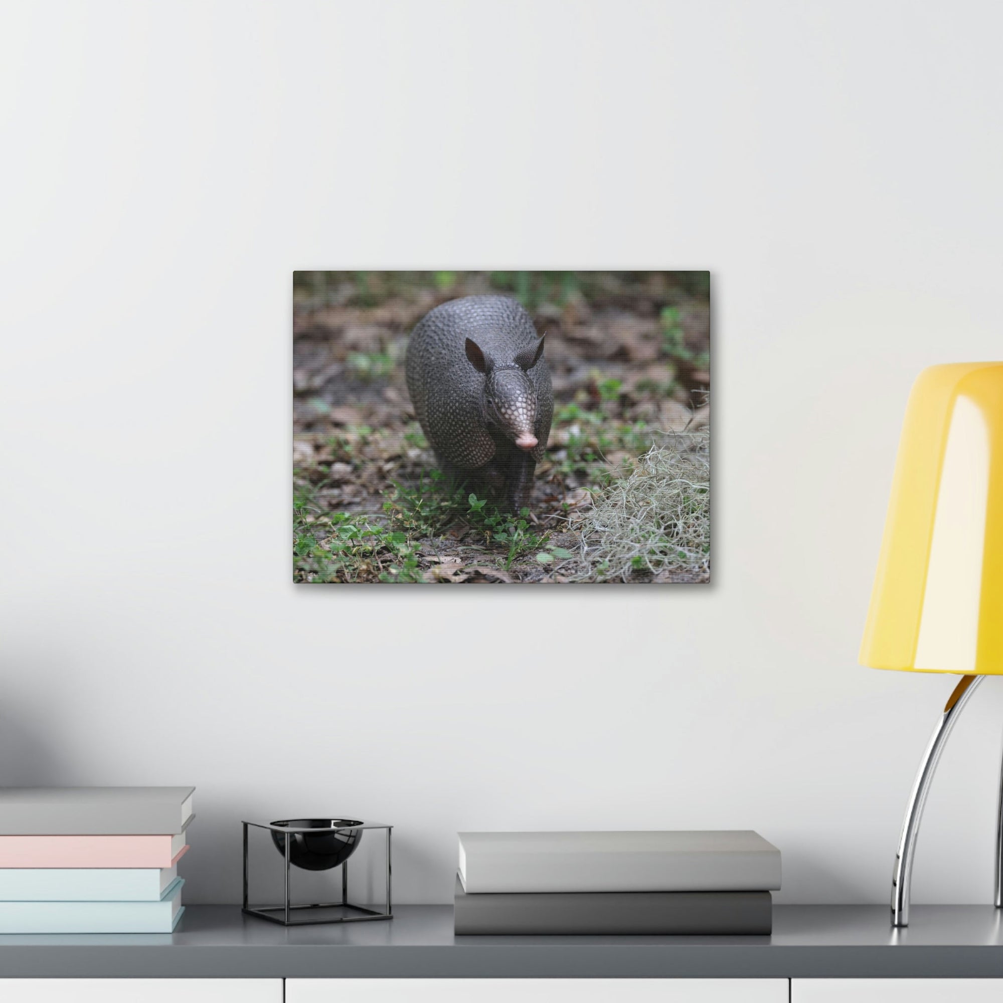 Scripture Walls Armadillo Hunting Armadillo on Hunt Print Animal Wall Art Wildlife Canvas Prints Wall Art Ready to Hang Unframed-Express Your Love Gifts