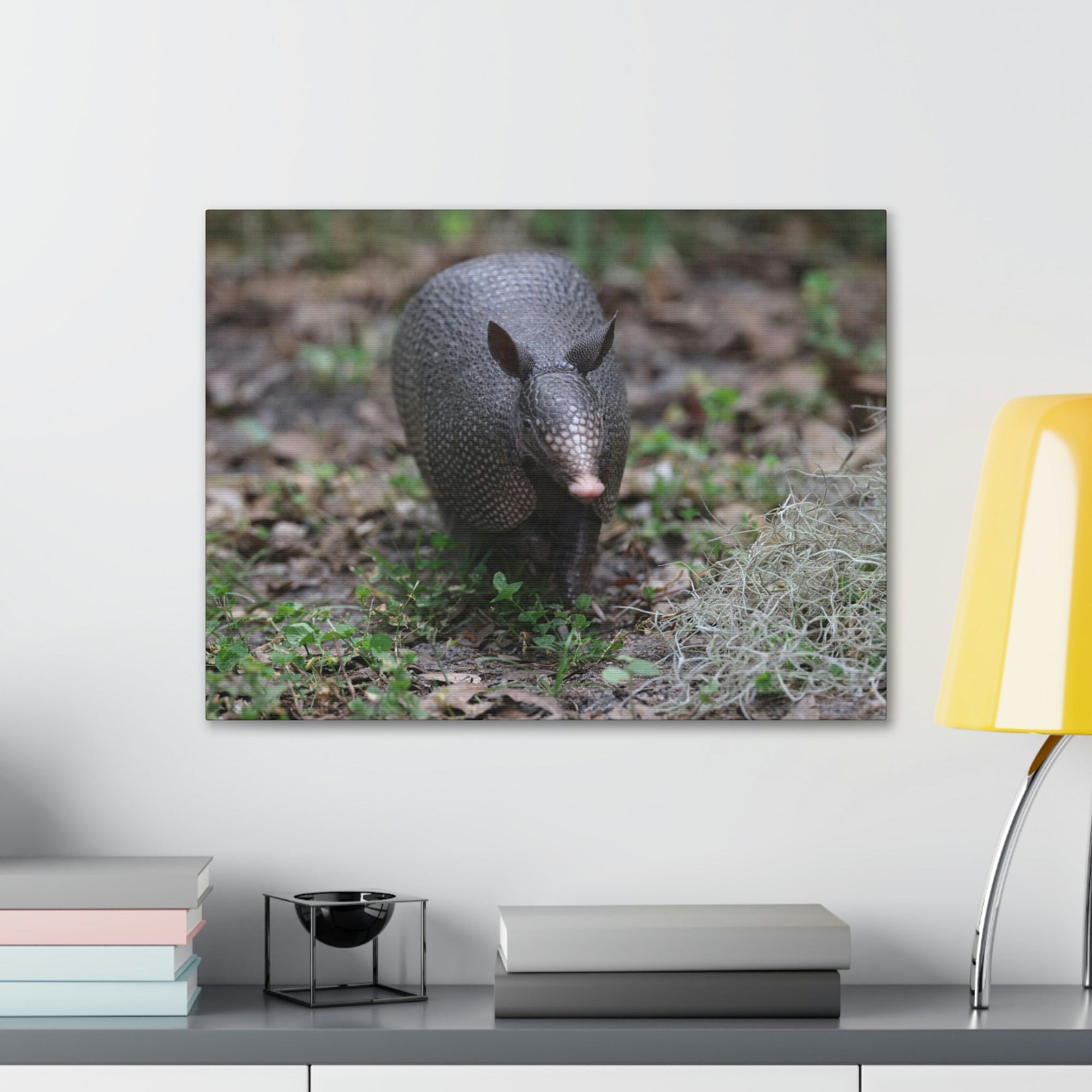 Scripture Walls Armadillo Hunting Armadillo on Hunt Print Animal Wall Art Wildlife Canvas Prints Wall Art Ready to Hang Unframed-Express Your Love Gifts