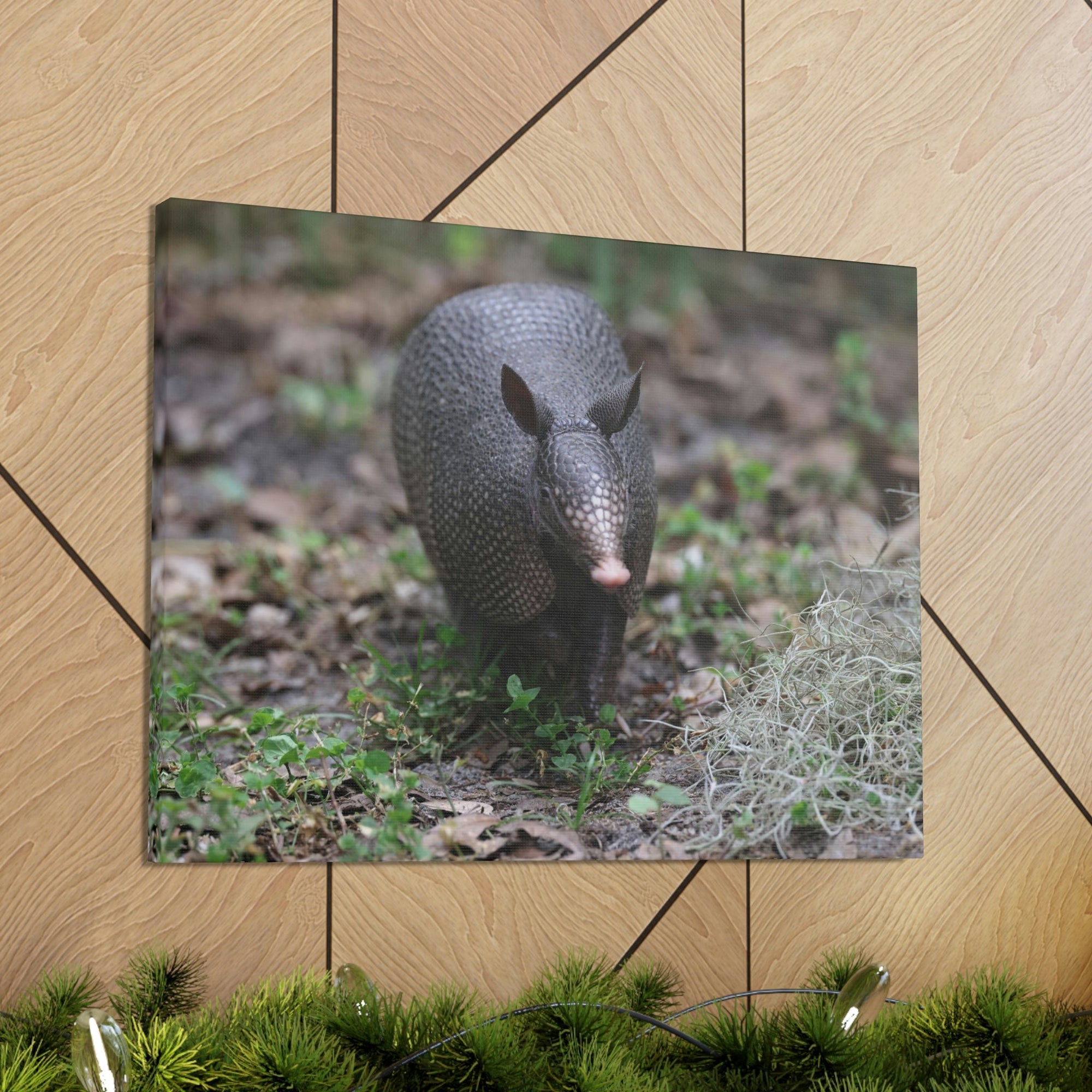 Scripture Walls Armadillo Hunting Armadillo on Hunt Print Animal Wall Art Wildlife Canvas Prints Wall Art Ready to Hang Unframed-Express Your Love Gifts