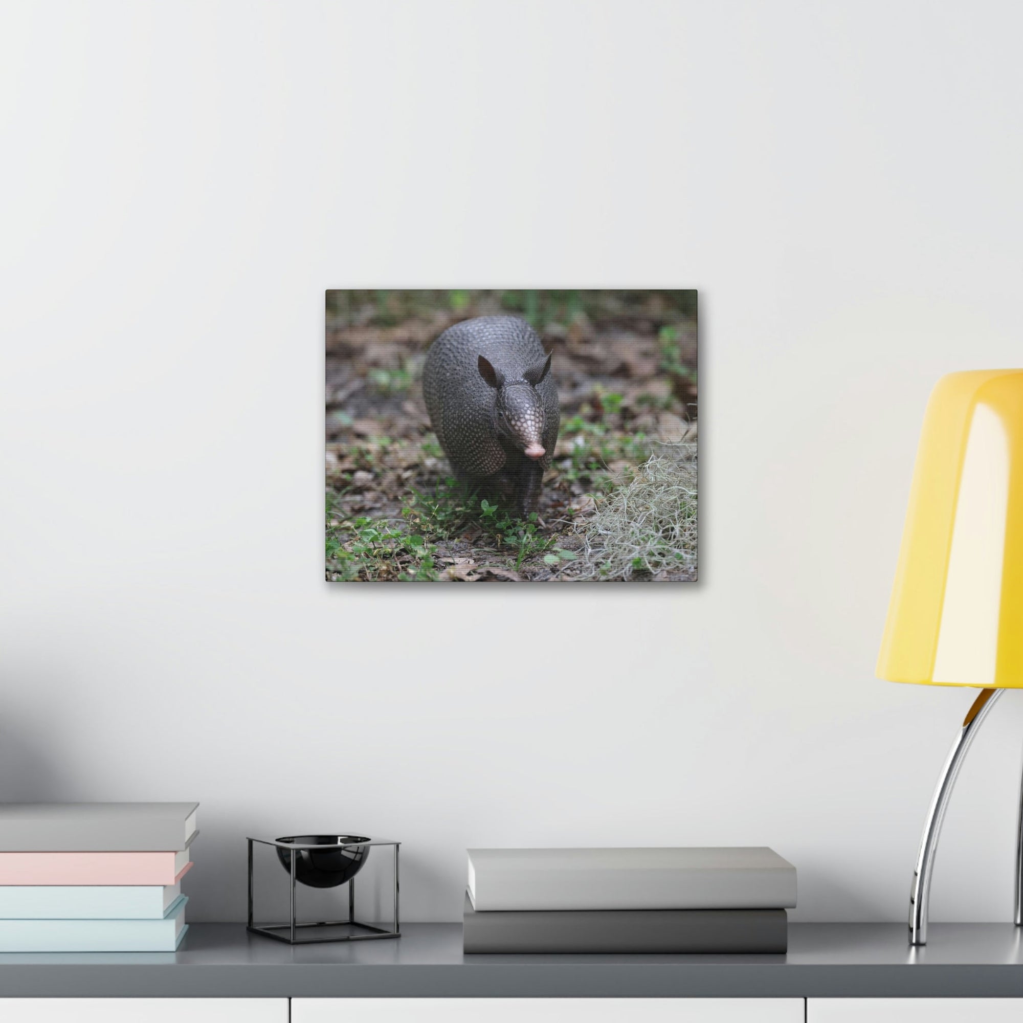 Scripture Walls Armadillo Hunting Armadillo on Hunt Print Animal Wall Art Wildlife Canvas Prints Wall Art Ready to Hang Unframed-Express Your Love Gifts