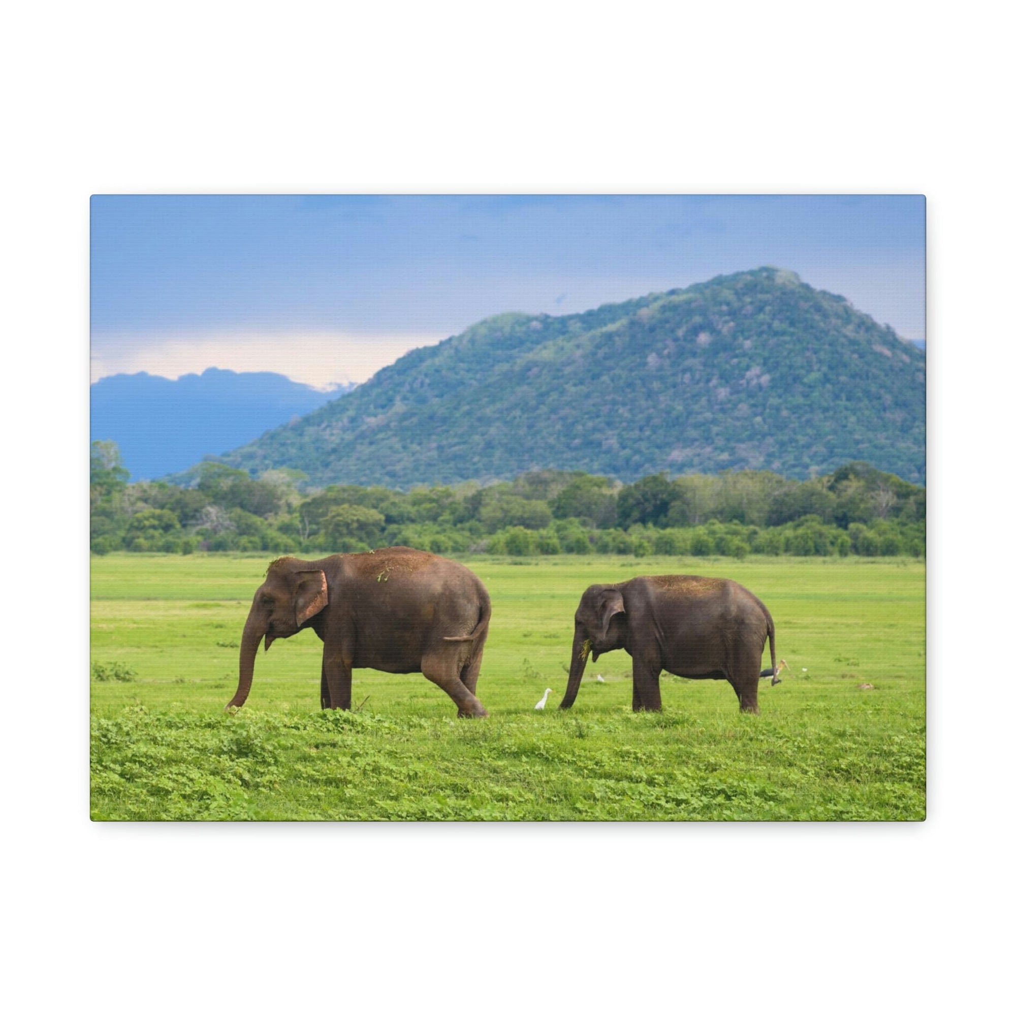 Scripture Walls Asian Elephant Couple Asian Elephant Troop Print Animal Wall Art Wildlife Canvas Prints Wall Art Ready to Hang Unframed-Express Your Love Gifts