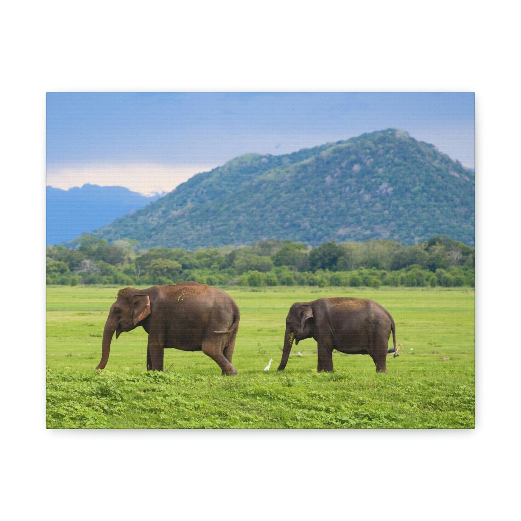 Scripture Walls Asian Elephant Couple Asian Elephant Troop Print Animal Wall Art Wildlife Canvas Prints Wall Art Ready to Hang Unframed-Express Your Love Gifts