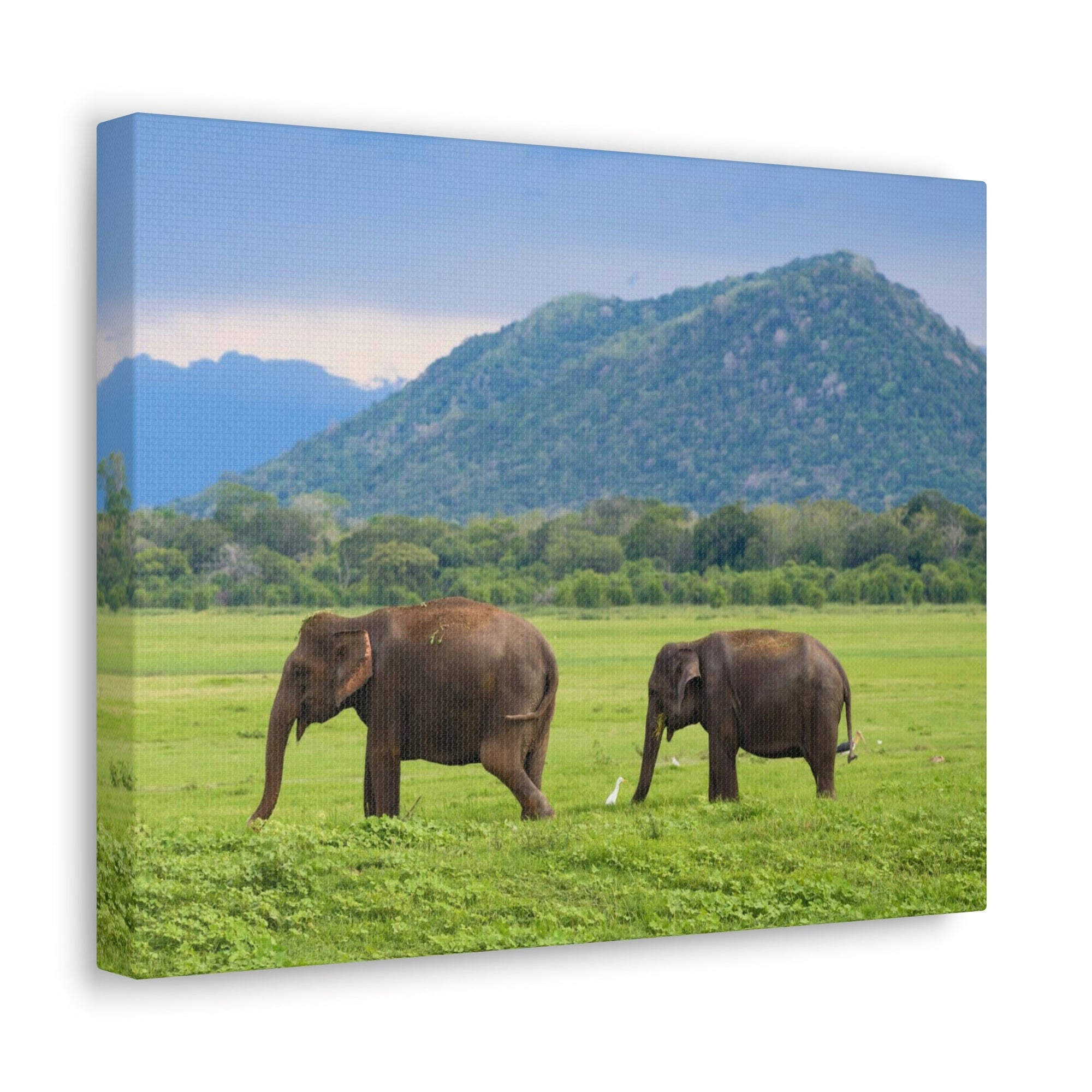 Scripture Walls Asian Elephant Couple Asian Elephant Troop Print Animal Wall Art Wildlife Canvas Prints Wall Art Ready to Hang Unframed-Express Your Love Gifts