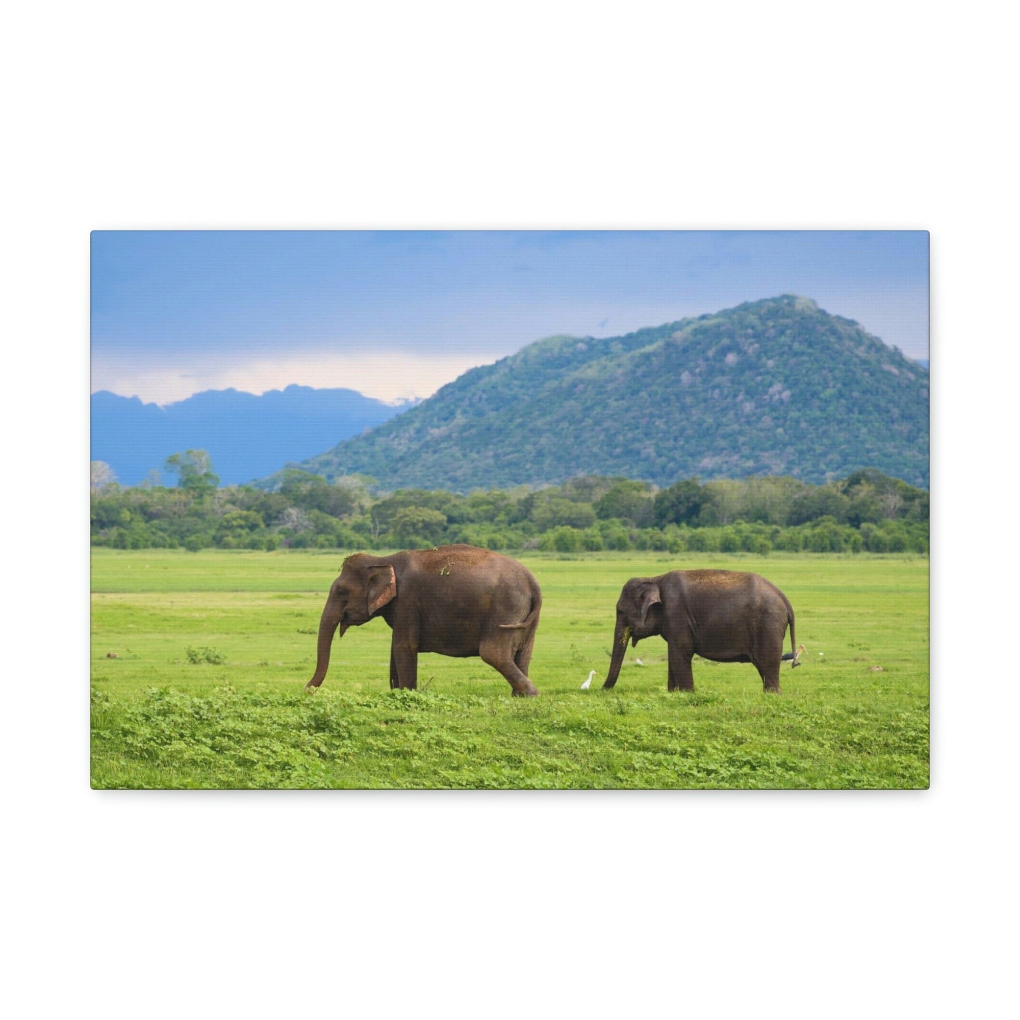 Scripture Walls Asian Elephant Couple Asian Elephant Troop Print Animal Wall Art Wildlife Canvas Prints Wall Art Ready to Hang Unframed-Express Your Love Gifts