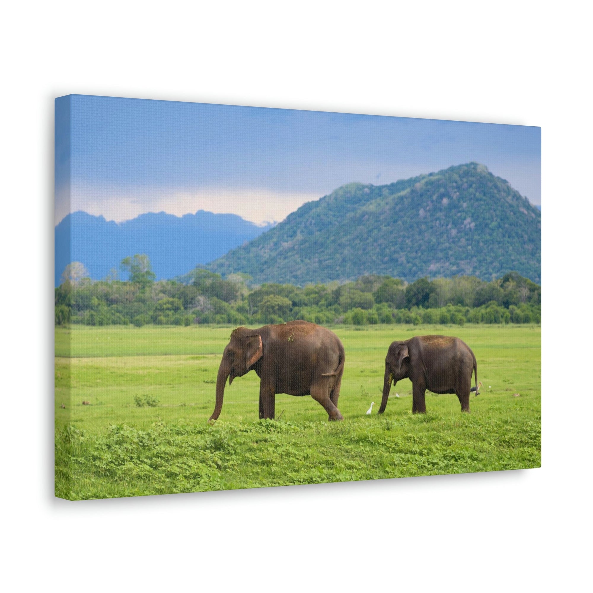 Scripture Walls Asian Elephant Couple Asian Elephant Troop Print Animal Wall Art Wildlife Canvas Prints Wall Art Ready to Hang Unframed-Express Your Love Gifts