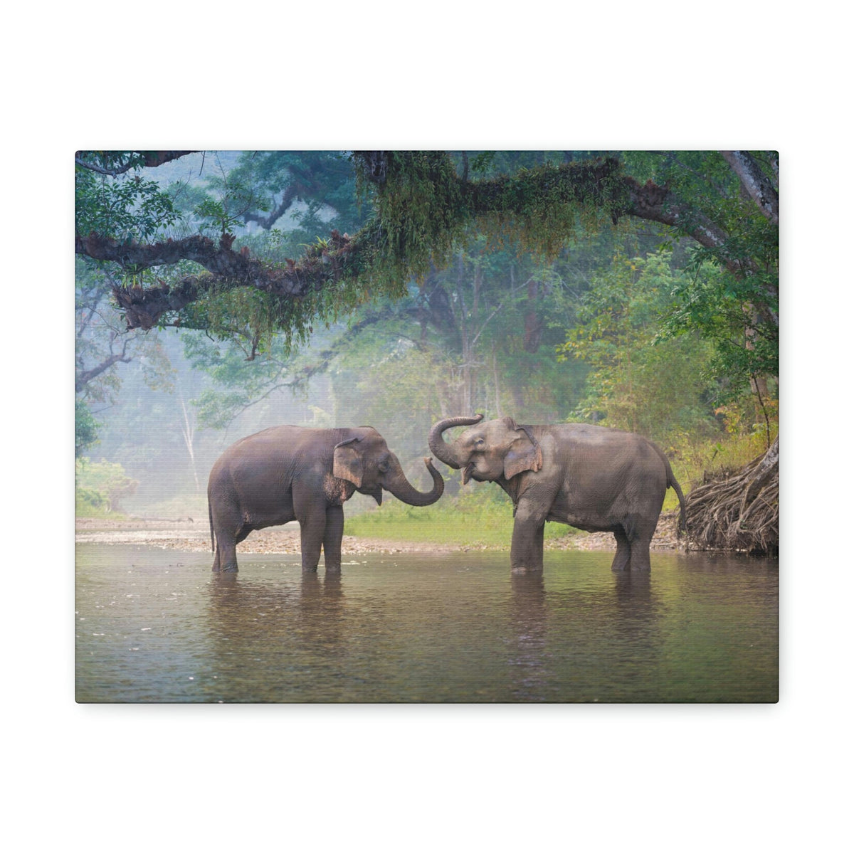 Scripture Walls Asian Elephant Couple in The River Print Animal Wall Art Wildlife Canvas Prints Wall Art Ready to Hang Unframed-Express Your Love Gifts