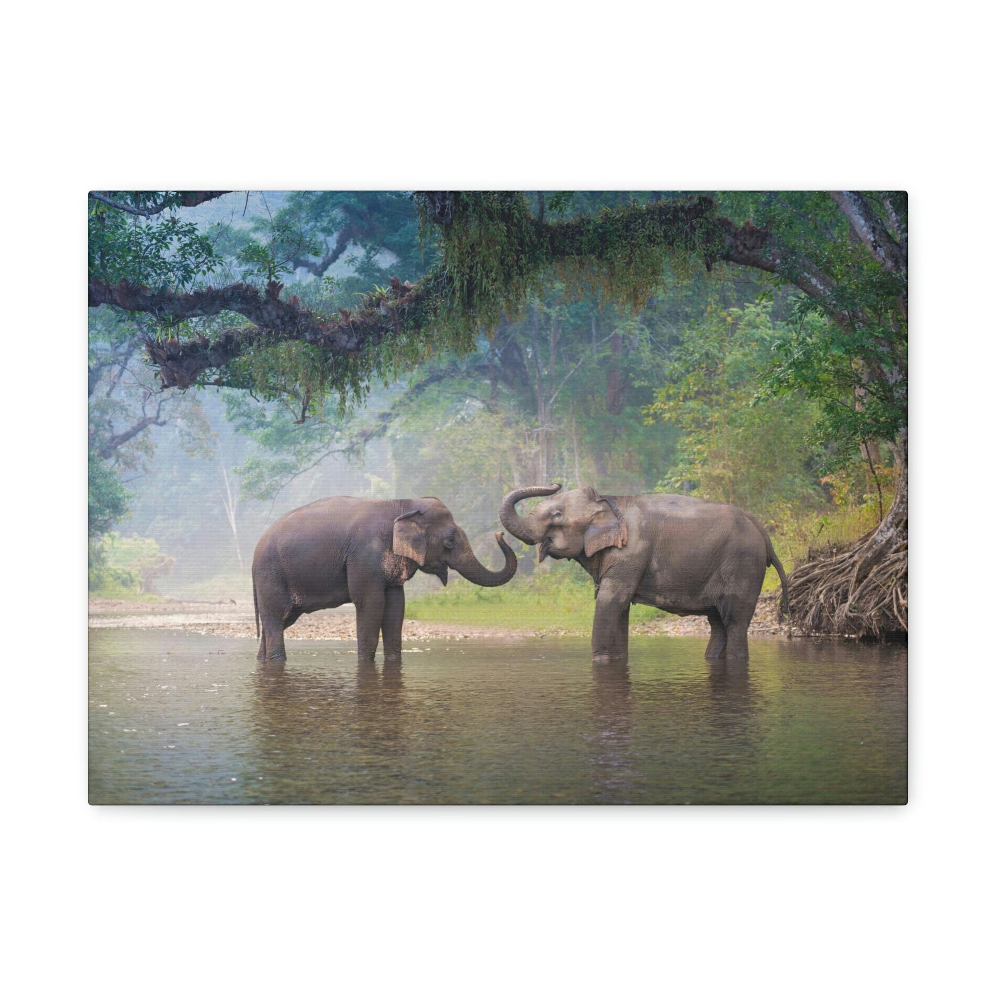 Scripture Walls Asian Elephant Couple in The River Print Animal Wall Art Wildlife Canvas Prints Wall Art Ready to Hang Unframed-Express Your Love Gifts