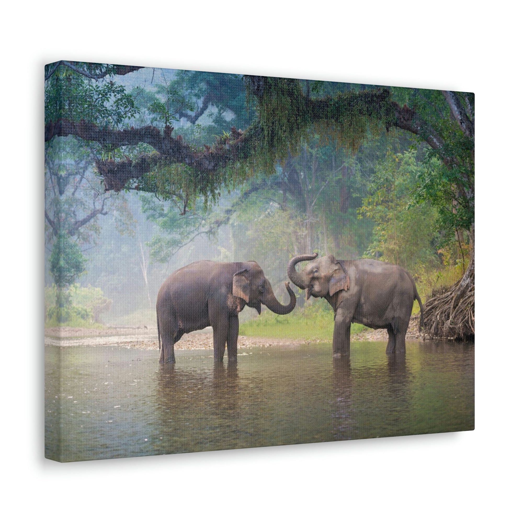 Scripture Walls Asian Elephant Couple in The River Print Animal Wall Art Wildlife Canvas Prints Wall Art Ready to Hang Unframed-Express Your Love Gifts