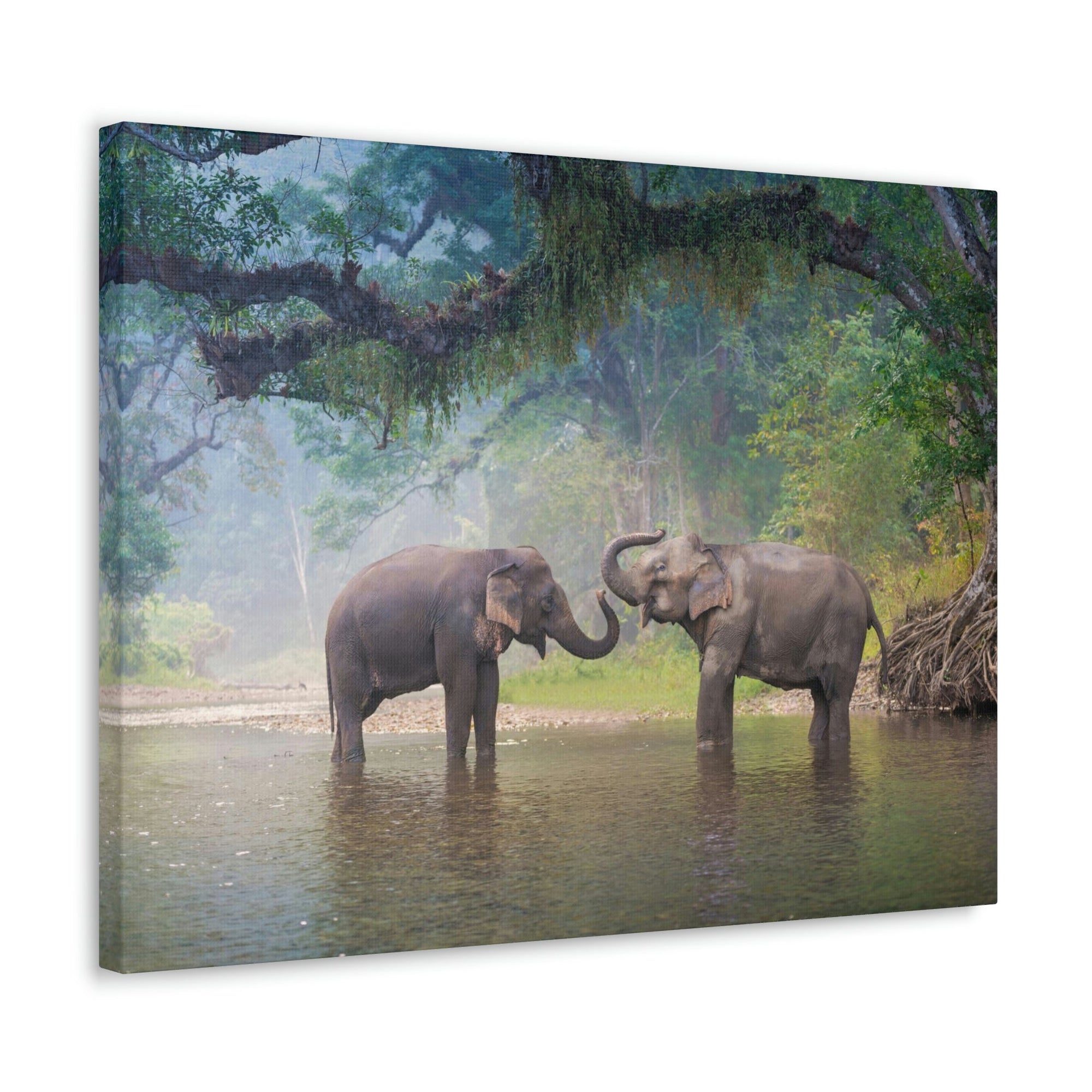 Scripture Walls Asian Elephant Couple in The River Print Animal Wall Art Wildlife Canvas Prints Wall Art Ready to Hang Unframed-Express Your Love Gifts