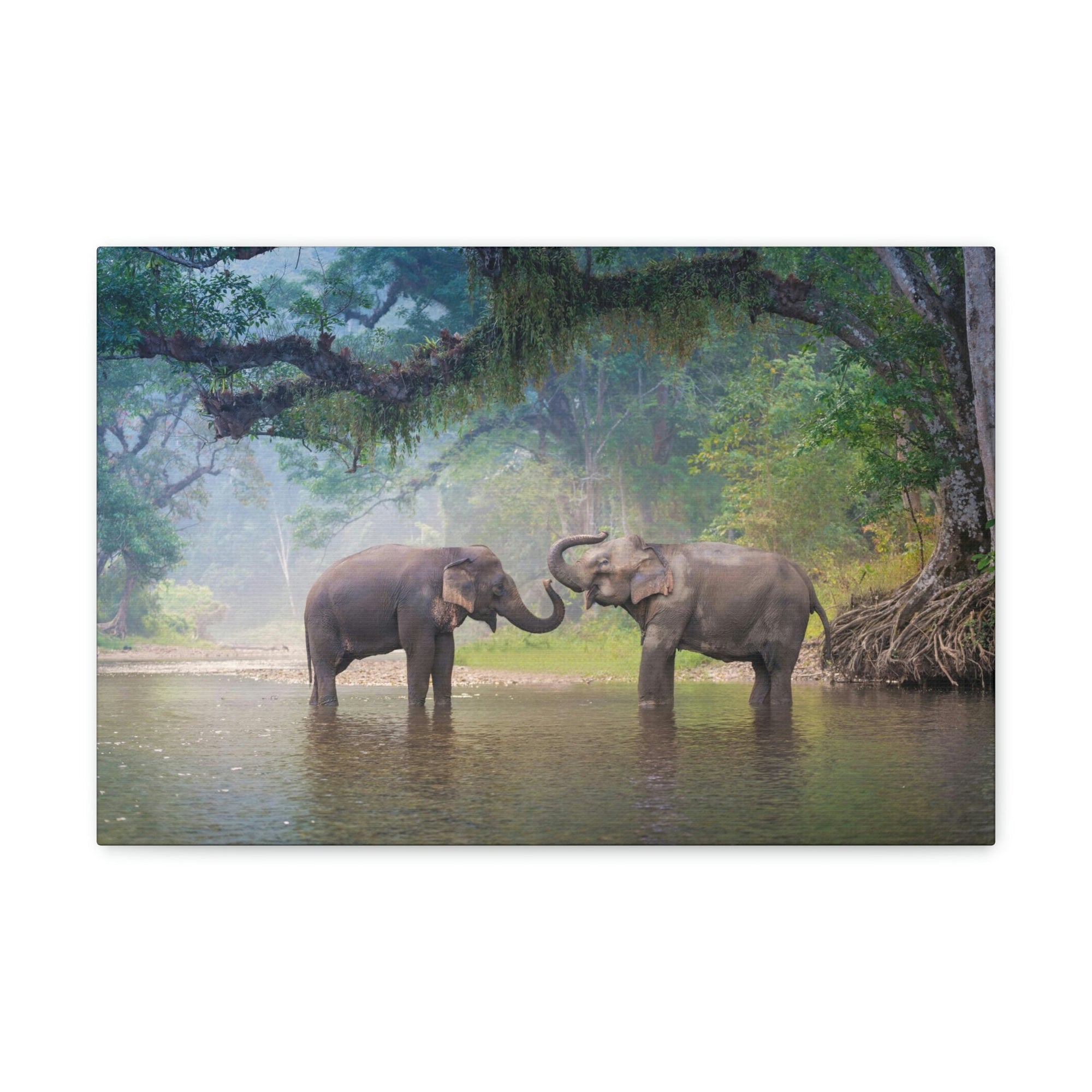 Scripture Walls Asian Elephant Couple in The River Print Animal Wall Art Wildlife Canvas Prints Wall Art Ready to Hang Unframed-Express Your Love Gifts