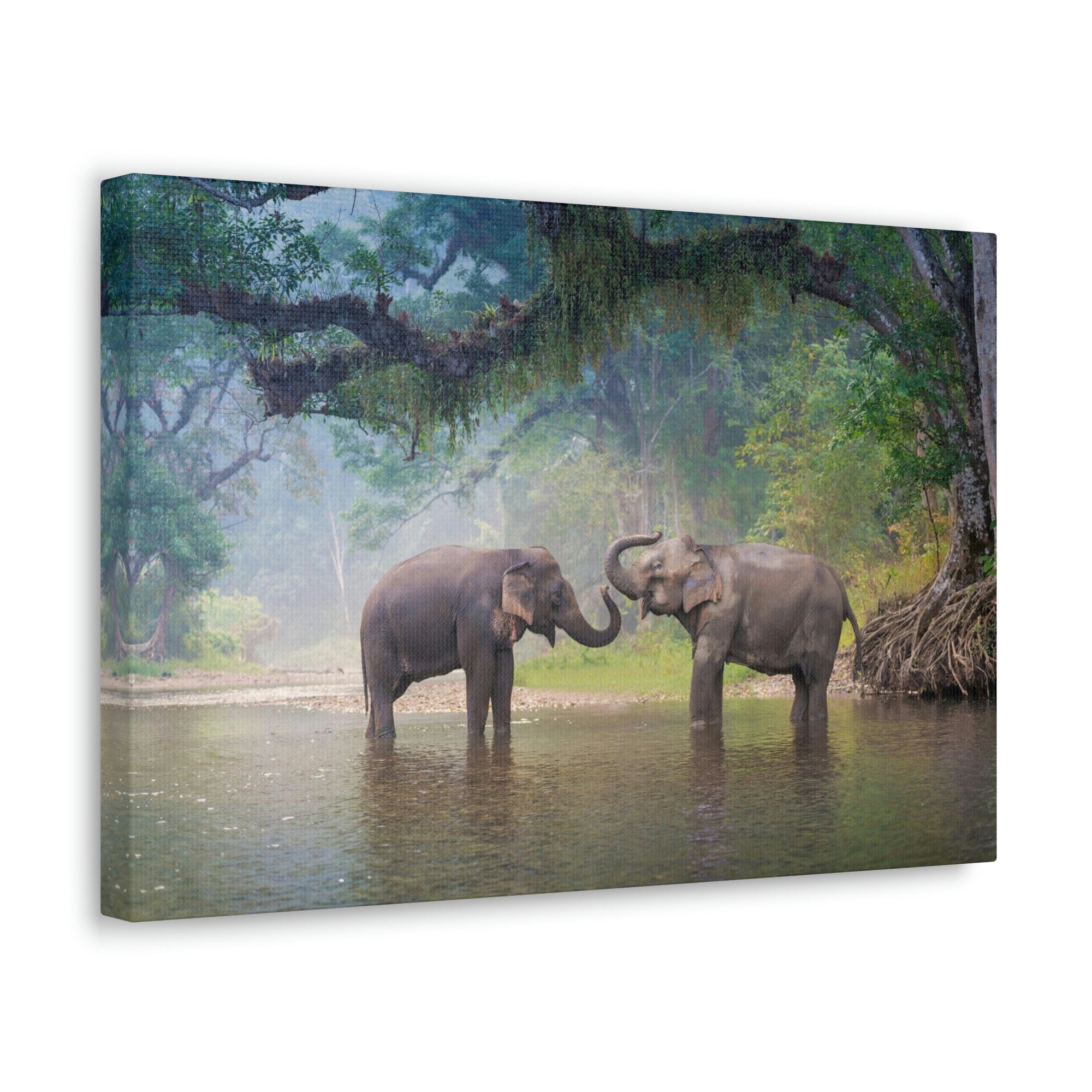 Scripture Walls Asian Elephant Couple in The River Print Animal Wall Art Wildlife Canvas Prints Wall Art Ready to Hang Unframed-Express Your Love Gifts