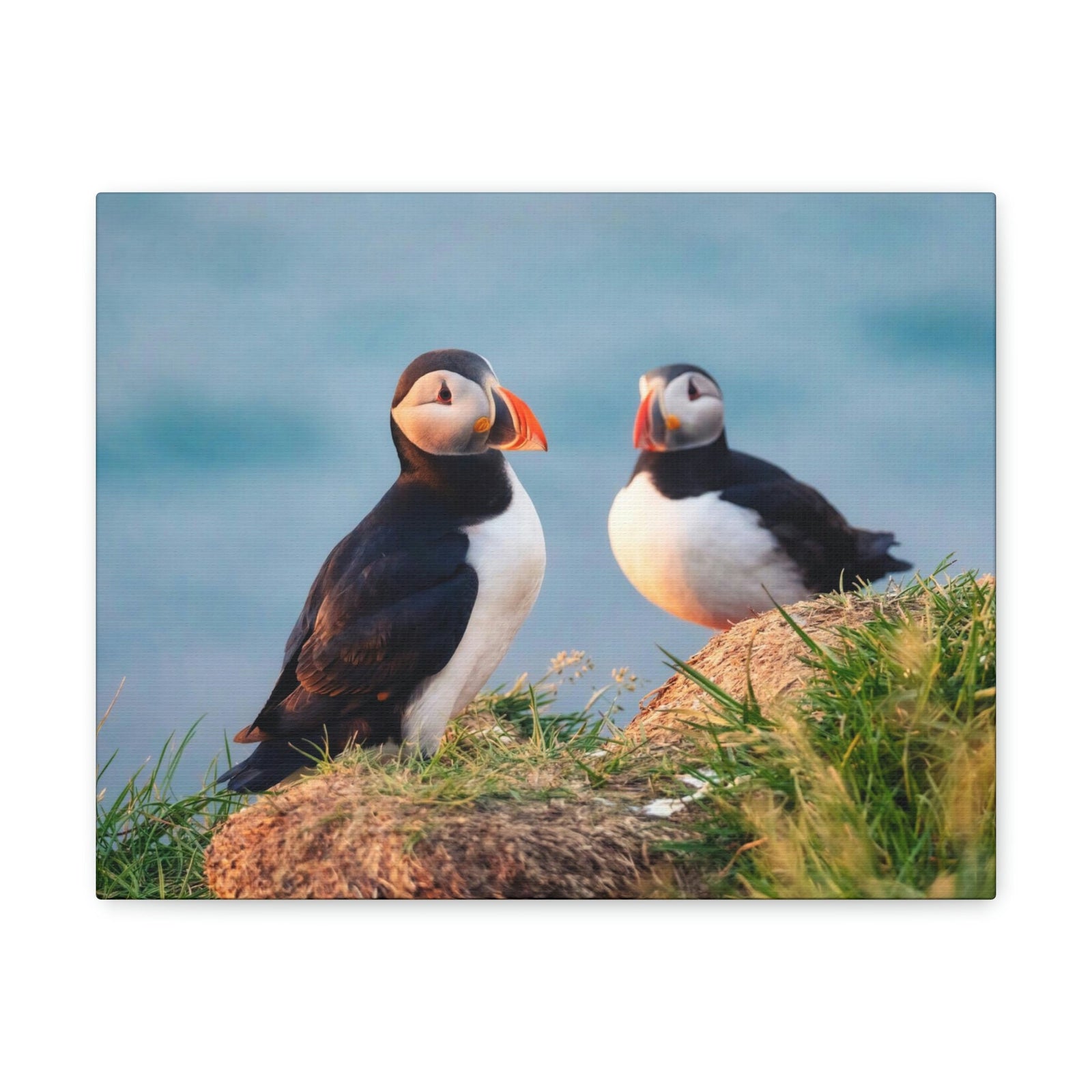 Scripture Walls Atlantic Puffin Couple Atlantic Puffin Troop Print Animal Wall Art Wildlife Canvas Prints Wall Art Ready to Hang Unframed-Express Your Love Gifts