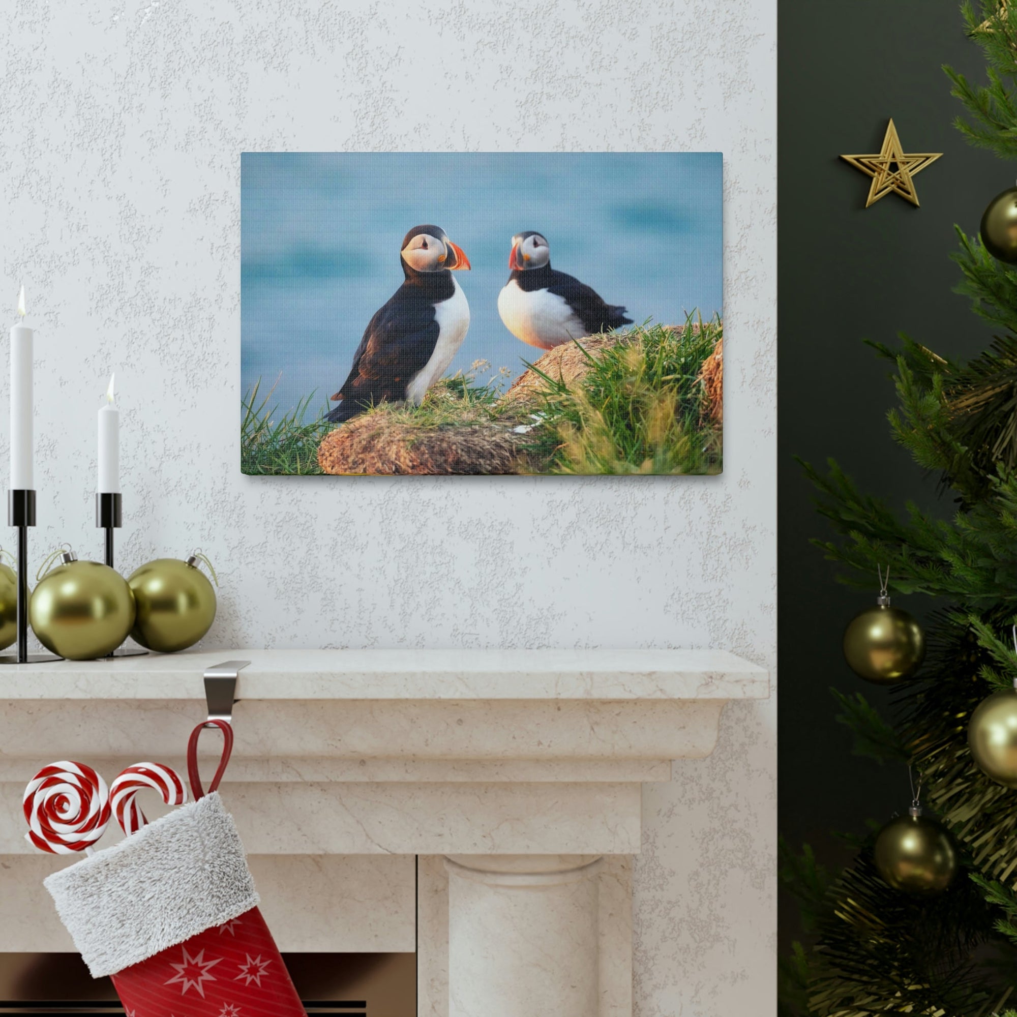 Scripture Walls Atlantic Puffin Couple Atlantic Puffin Troop Print Animal Wall Art Wildlife Canvas Prints Wall Art Ready to Hang Unframed-Express Your Love Gifts