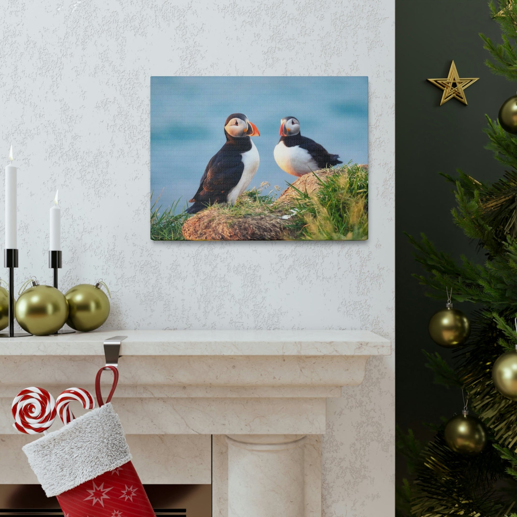 Scripture Walls Atlantic Puffin Couple Atlantic Puffin Troop Print Animal Wall Art Wildlife Canvas Prints Wall Art Ready to Hang Unframed-Express Your Love Gifts