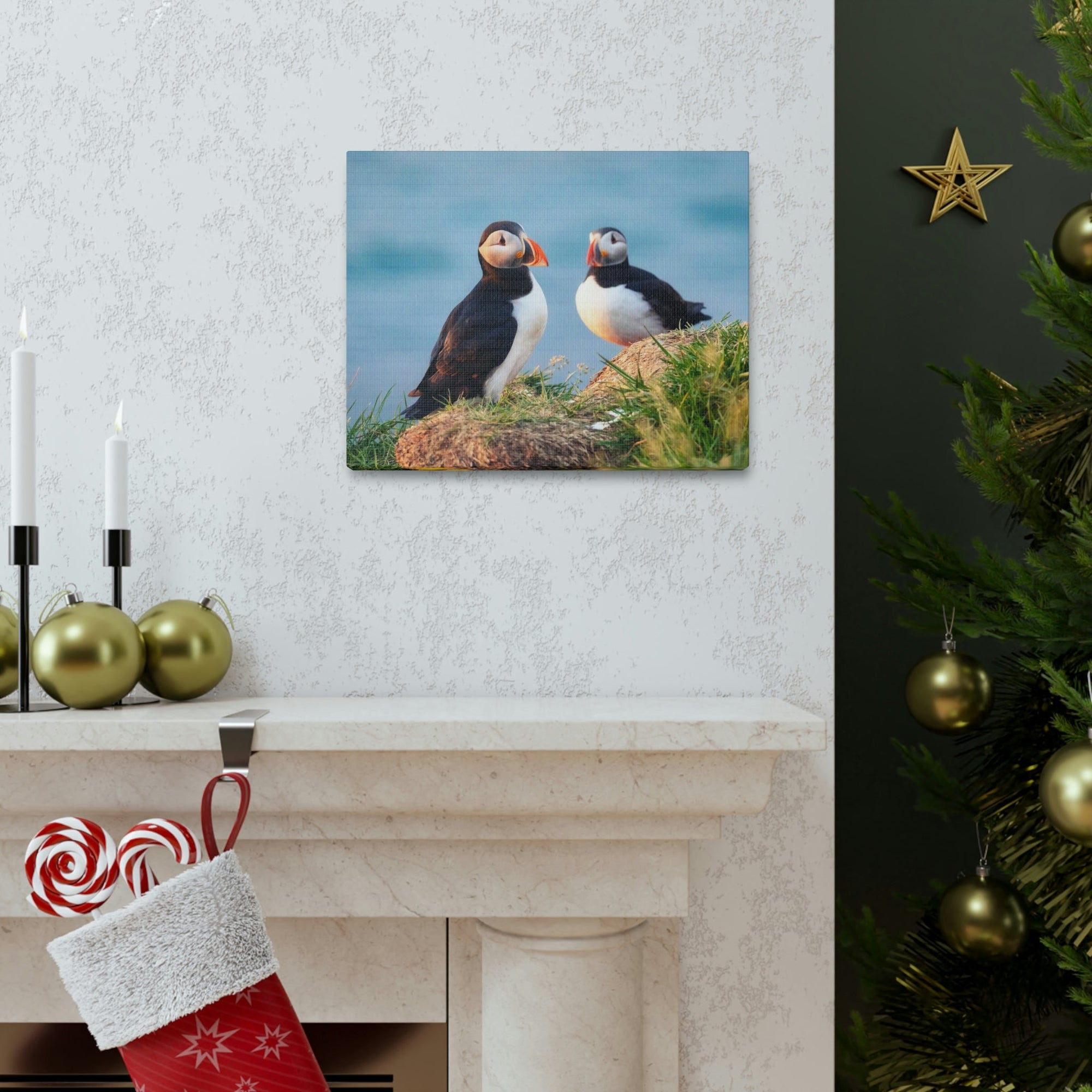 Scripture Walls Atlantic Puffin Couple Atlantic Puffin Troop Print Animal Wall Art Wildlife Canvas Prints Wall Art Ready to Hang Unframed-Express Your Love Gifts