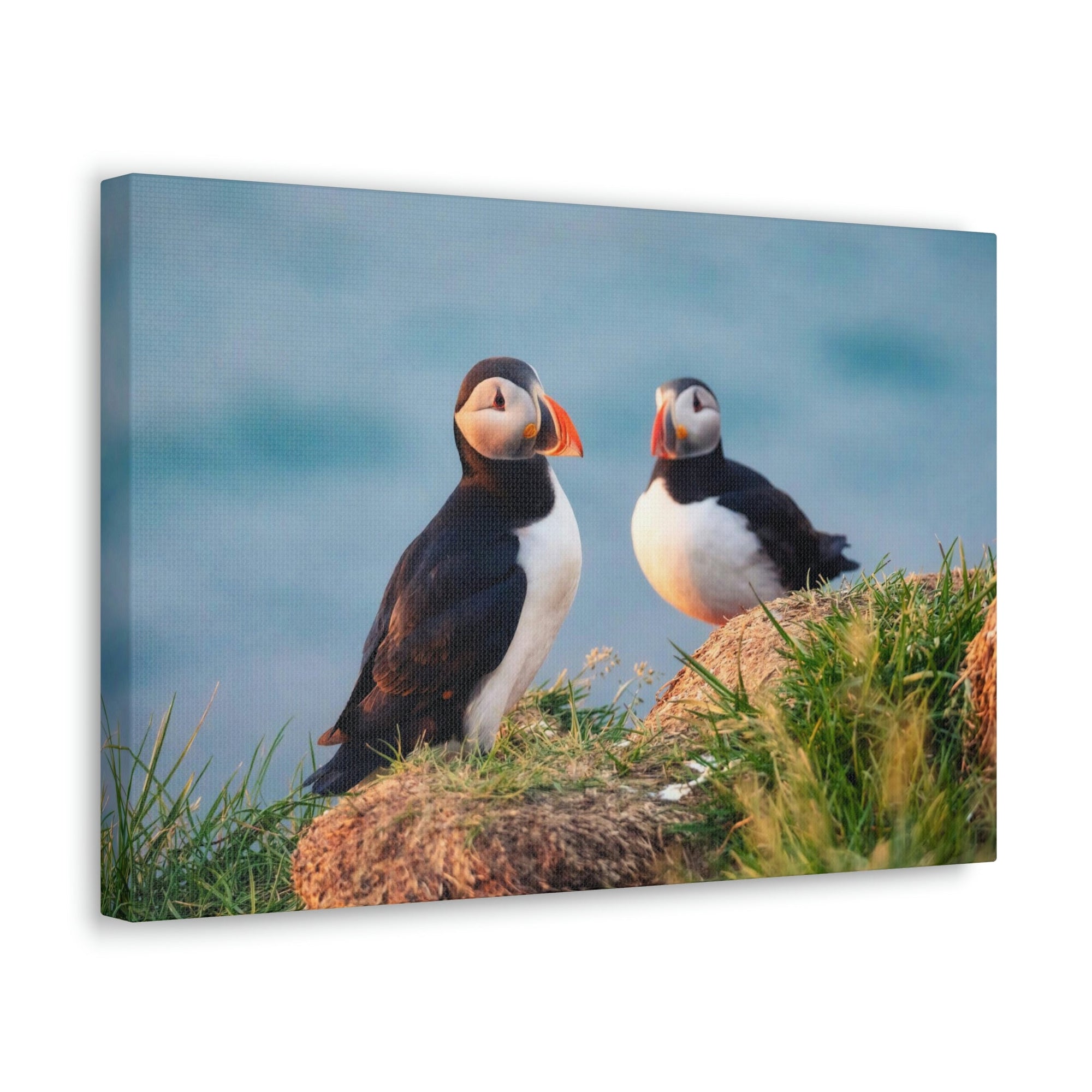 Scripture Walls Atlantic Puffin Couple Atlantic Puffin Troop Print Animal Wall Art Wildlife Canvas Prints Wall Art Ready to Hang Unframed-Express Your Love Gifts