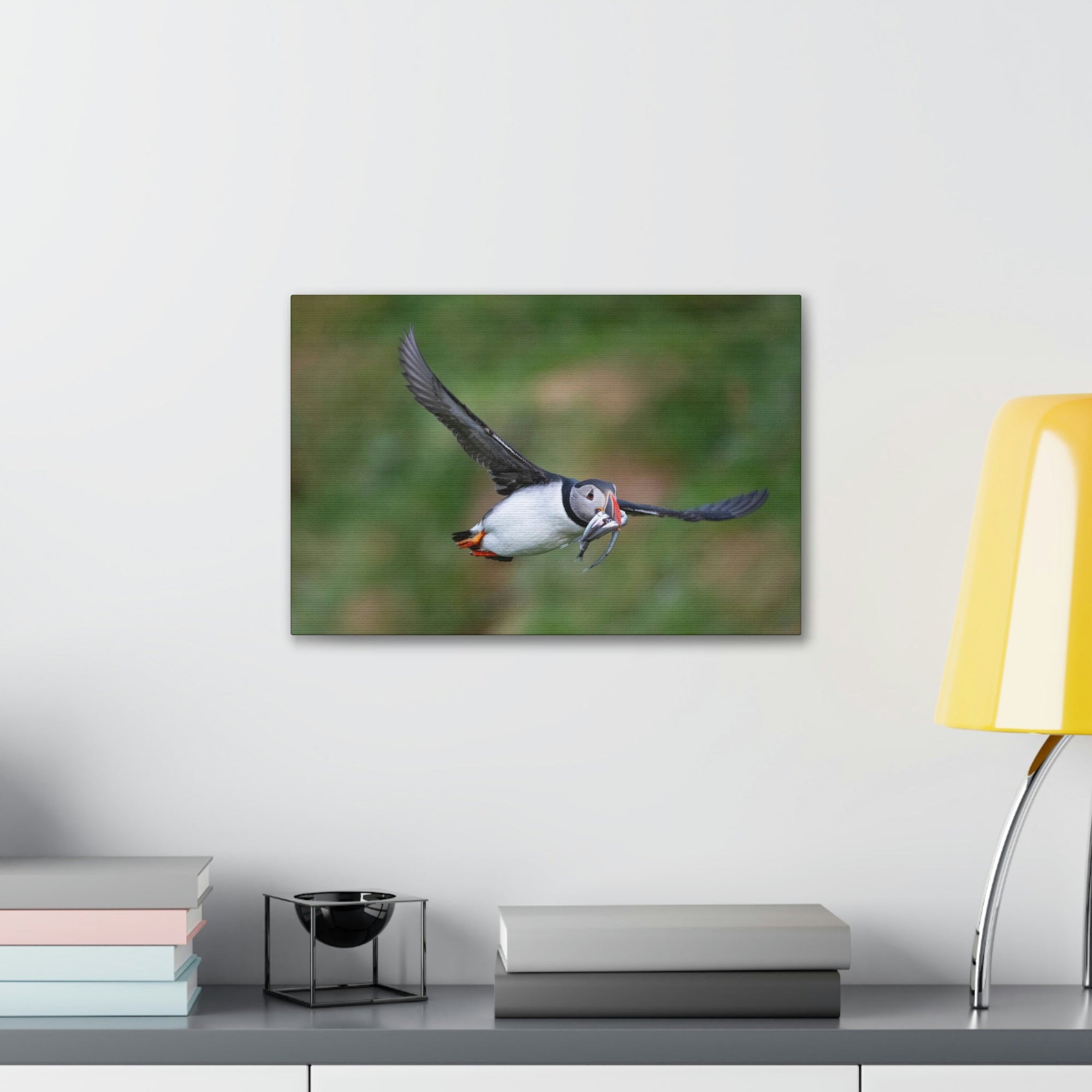 Scripture Walls Atlantic Puffin Hunting Atlantic Puffin on Hunt Print Animal Wall Art Wildlife Canvas Prints Wall Art Ready to Hang Unframed-Express Your Love Gifts