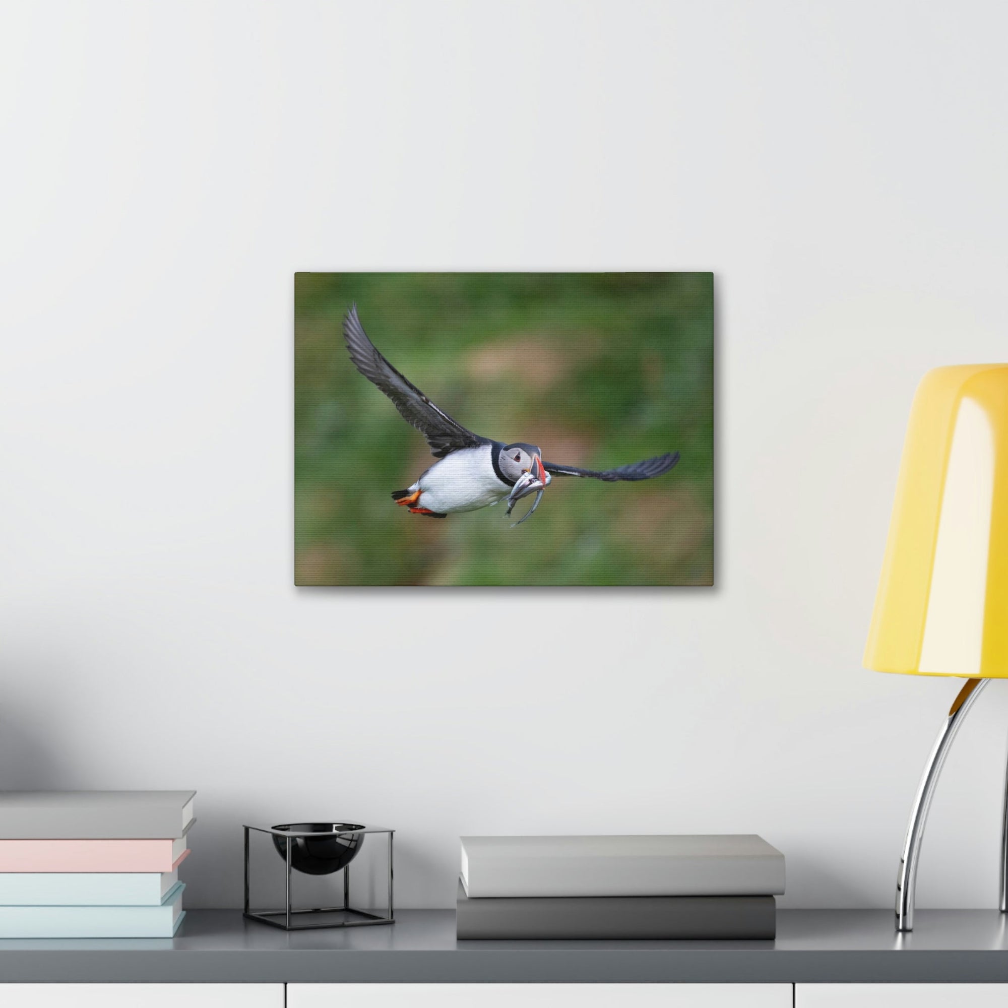 Scripture Walls Atlantic Puffin Hunting Atlantic Puffin on Hunt Print Animal Wall Art Wildlife Canvas Prints Wall Art Ready to Hang Unframed-Express Your Love Gifts