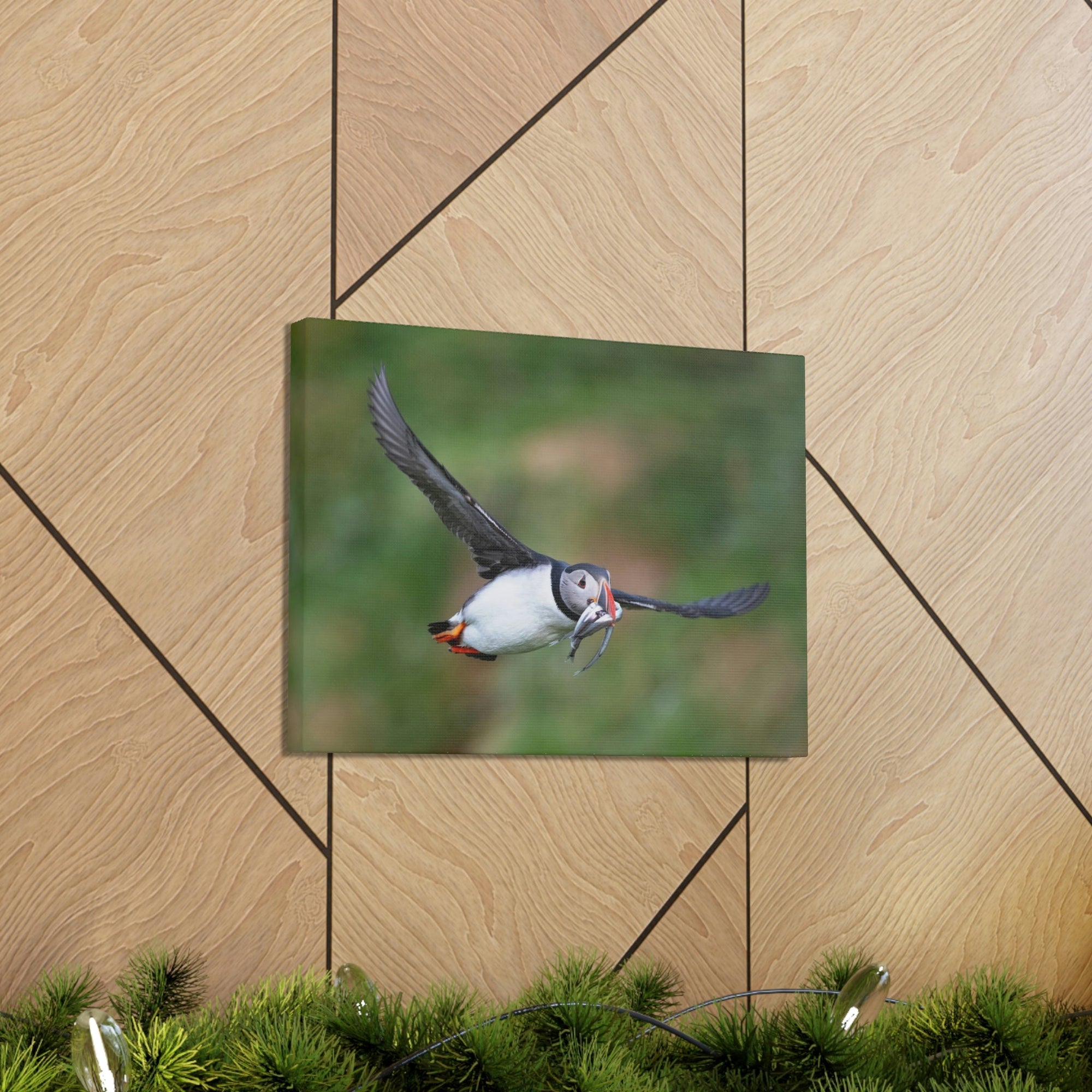 Scripture Walls Atlantic Puffin Hunting Atlantic Puffin on Hunt Print Animal Wall Art Wildlife Canvas Prints Wall Art Ready to Hang Unframed-Express Your Love Gifts