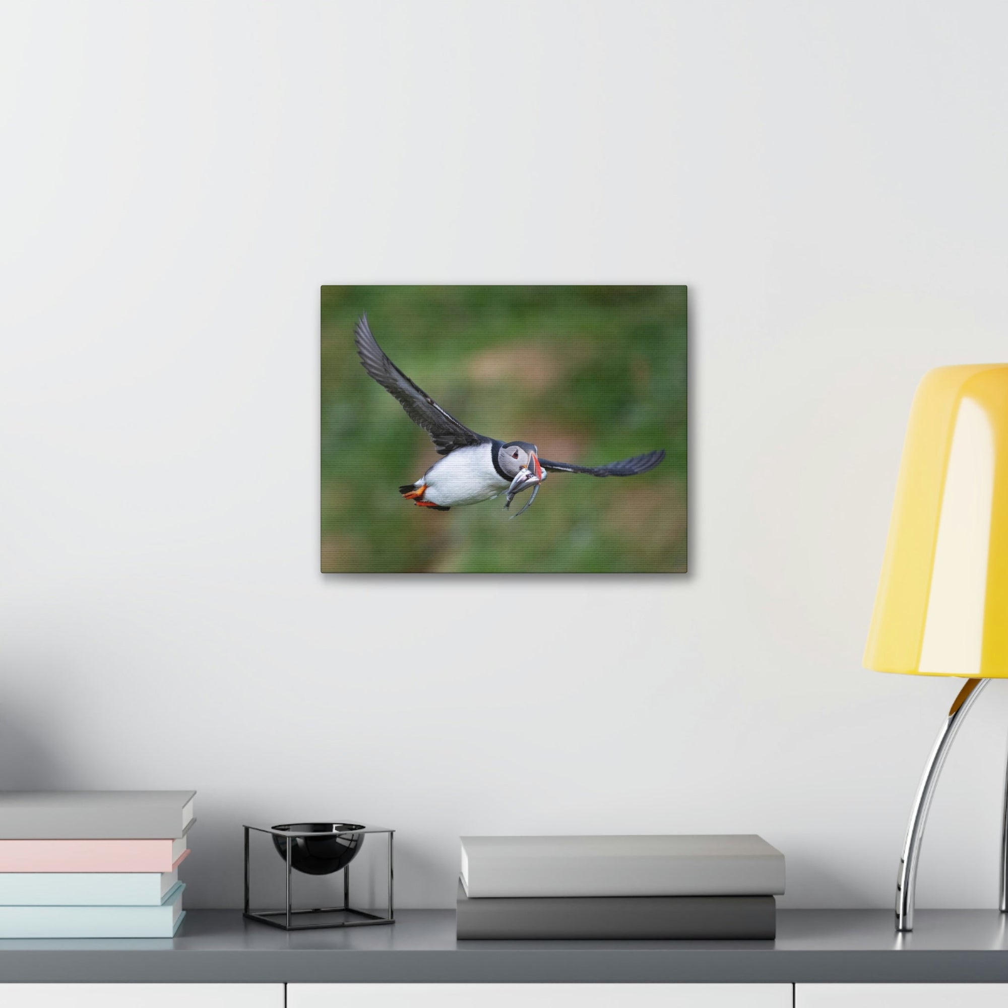 Scripture Walls Atlantic Puffin Hunting Atlantic Puffin on Hunt Print Animal Wall Art Wildlife Canvas Prints Wall Art Ready to Hang Unframed-Express Your Love Gifts