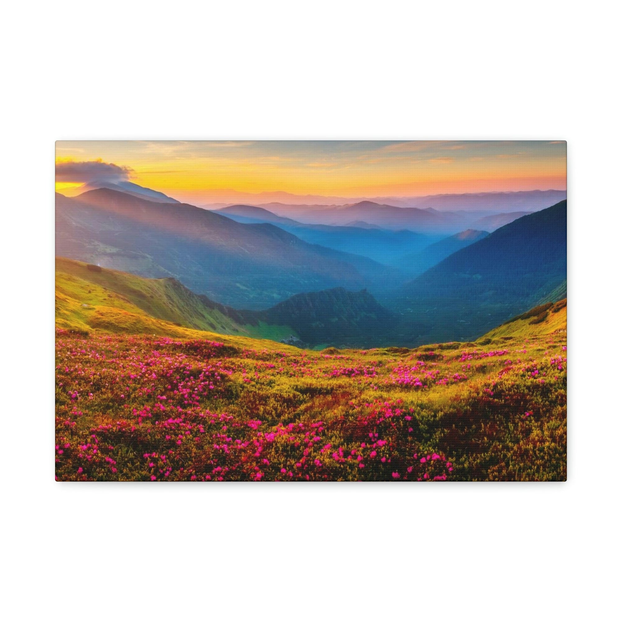 Attractive Summer Sunset at the Hill Scene Beautiful Impressive and Stunning Flowers Beauty Nature Scene Pink Flowers and Mountains Wall Art Ready to Hang Unframed-Express Your Love Gifts