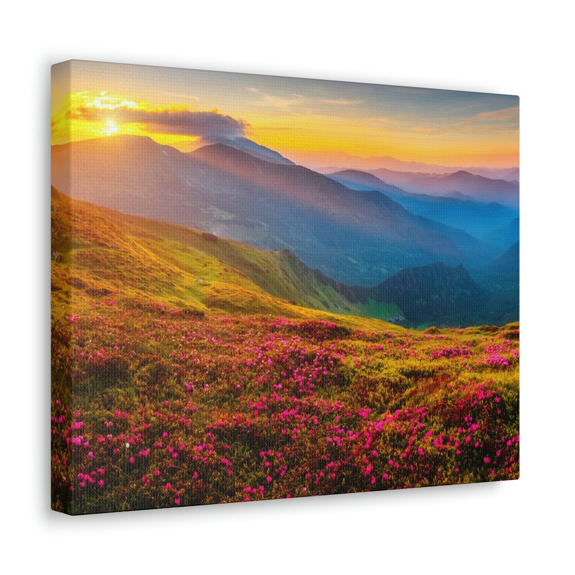 Attractive Summer Sunset at the Hill Scene Beautiful Impressive and Stunning Flowers Beauty Nature Scene Pink Flowers and Mountains Wall Art Ready to Hang Unframed-Express Your Love Gifts