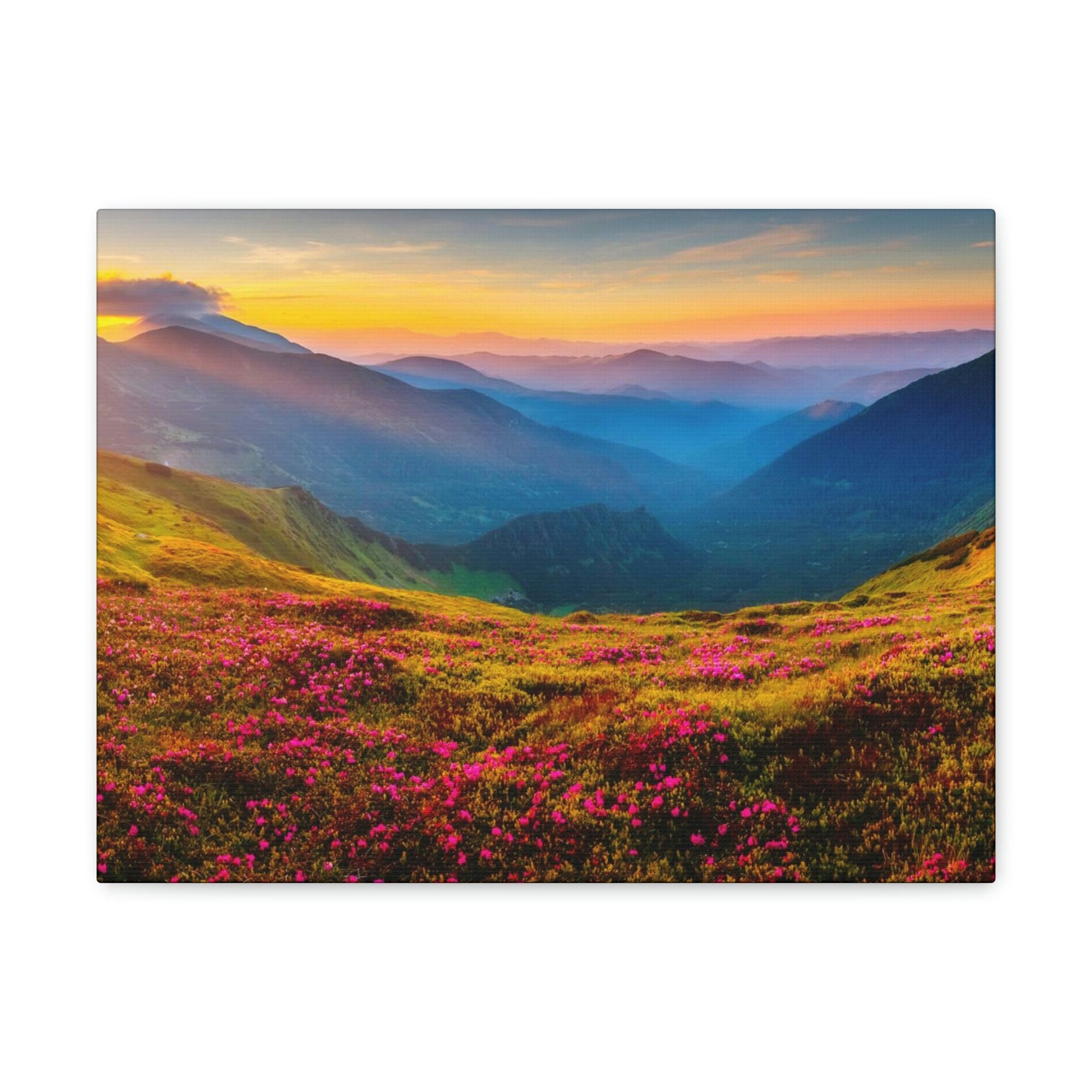 Attractive Summer Sunset at the Hill Scene Beautiful Impressive and Stunning Flowers Beauty Nature Scene Pink Flowers and Mountains Wall Art Ready to Hang Unframed-Express Your Love Gifts